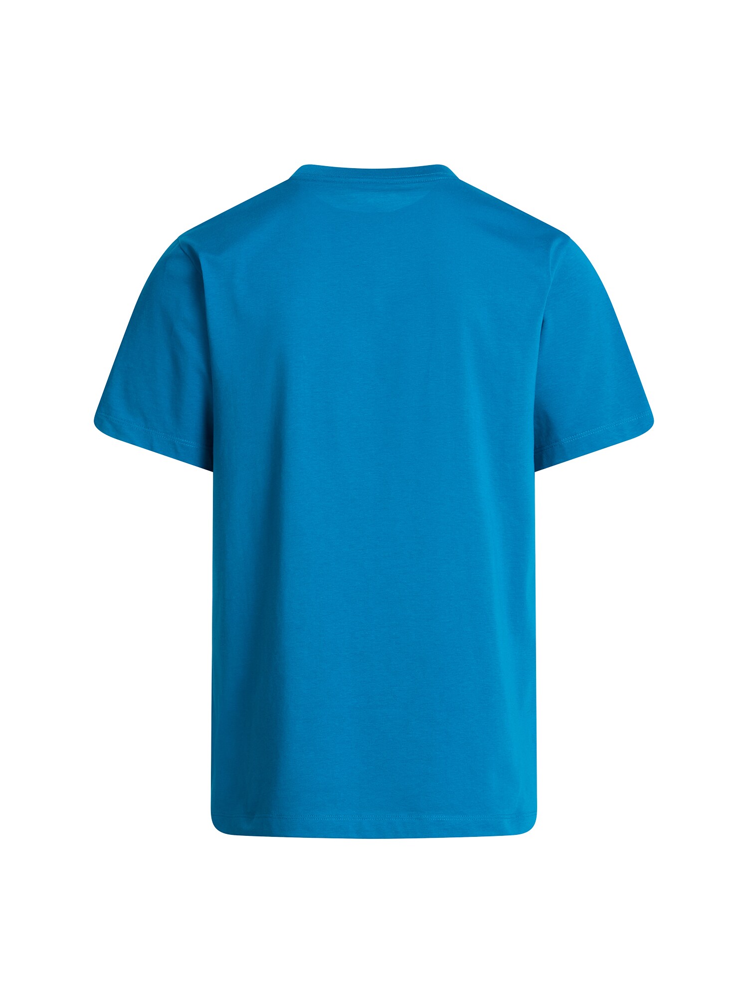 THE NORTH FACE Tričko 'Evolution Simple Dome'  modrá / biela (obrázok 2)