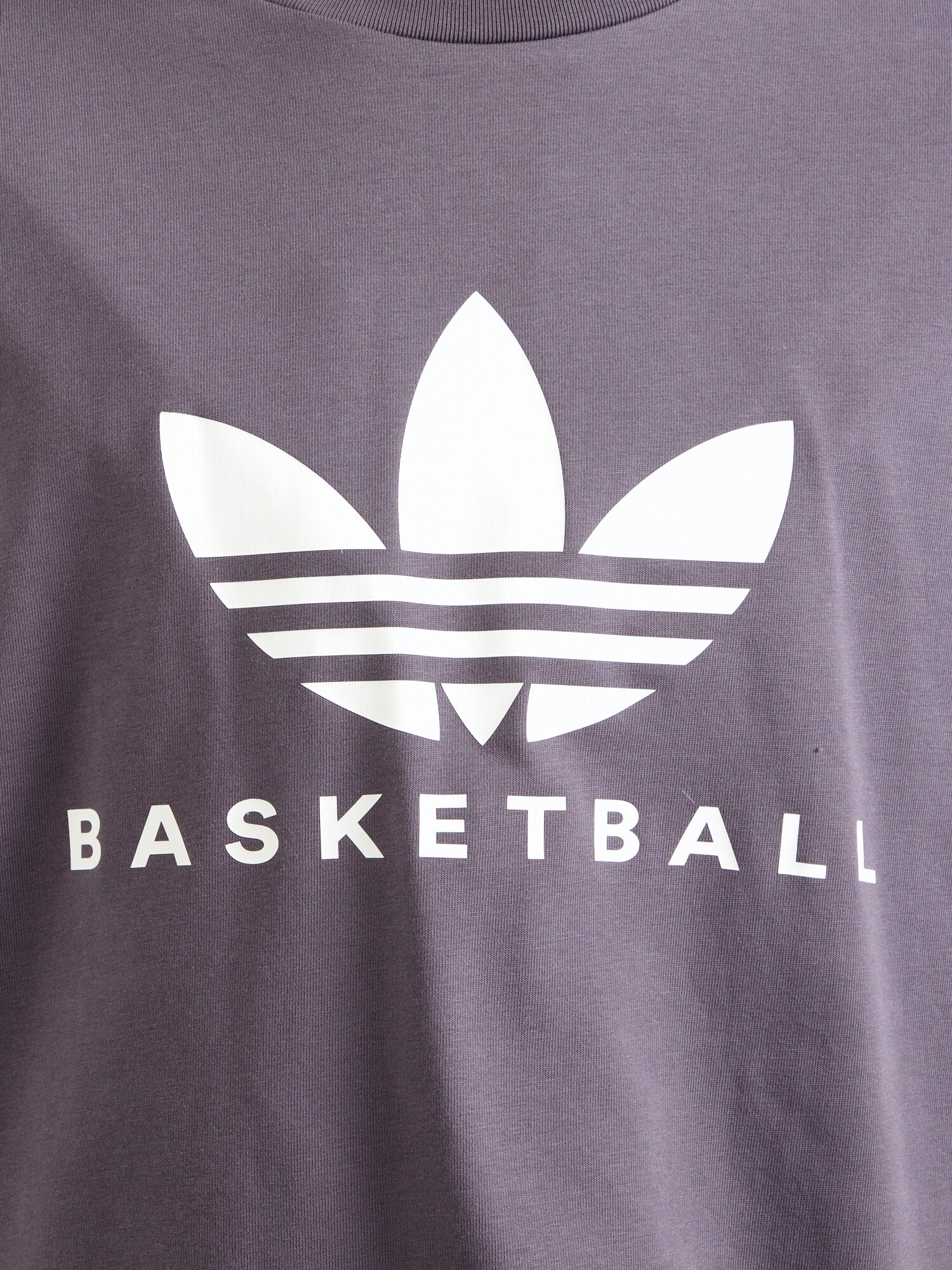 ADIDAS ORIGINALS Tričko tmavosivá / biela (obrázok 5)