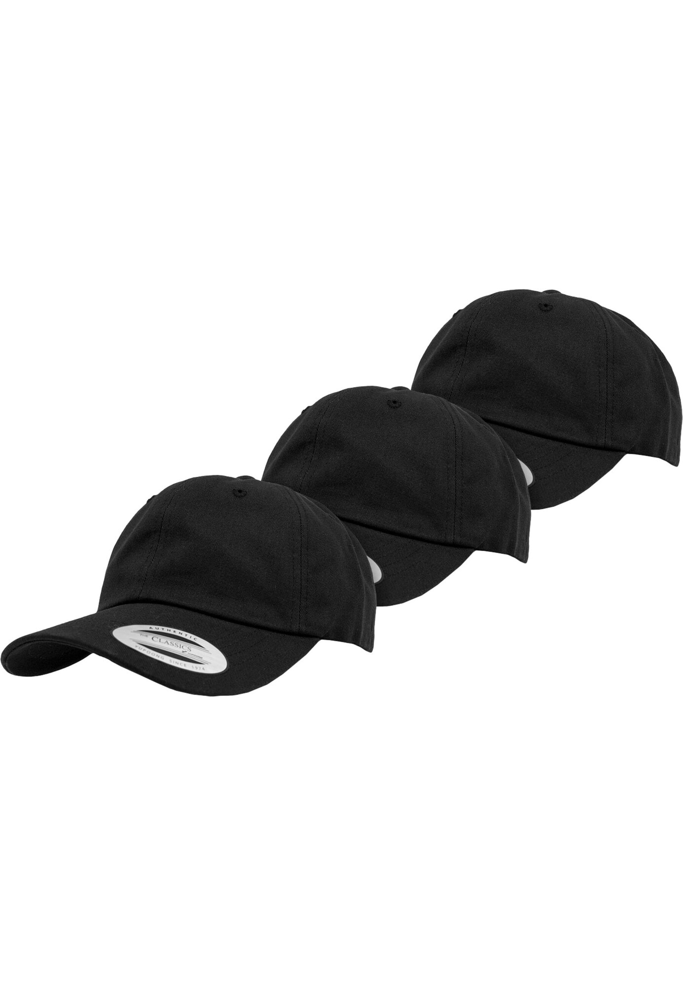 Flexfit Șapcă  negru / alb