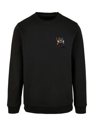 F4NT4STIC Sweatshirt ‘Wizard Cat’ Cyaan blauw / Mokka / Lichtgeel / Zwart