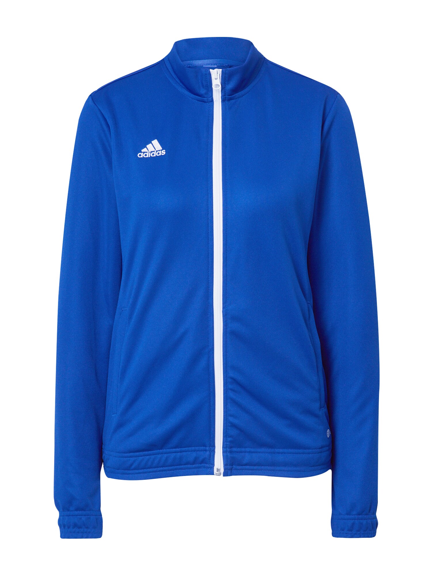 ADIDAS PERFORMANCE Bluză cu fermoar sport Entrada 22  albastru regal / alb