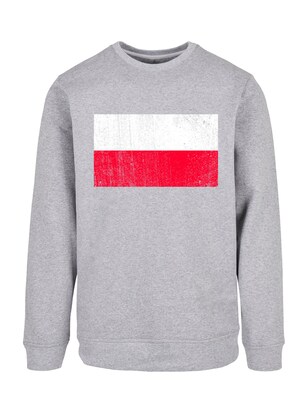 F4NT4STIC Sweatshirt Grijs / Lichtrood / Wit