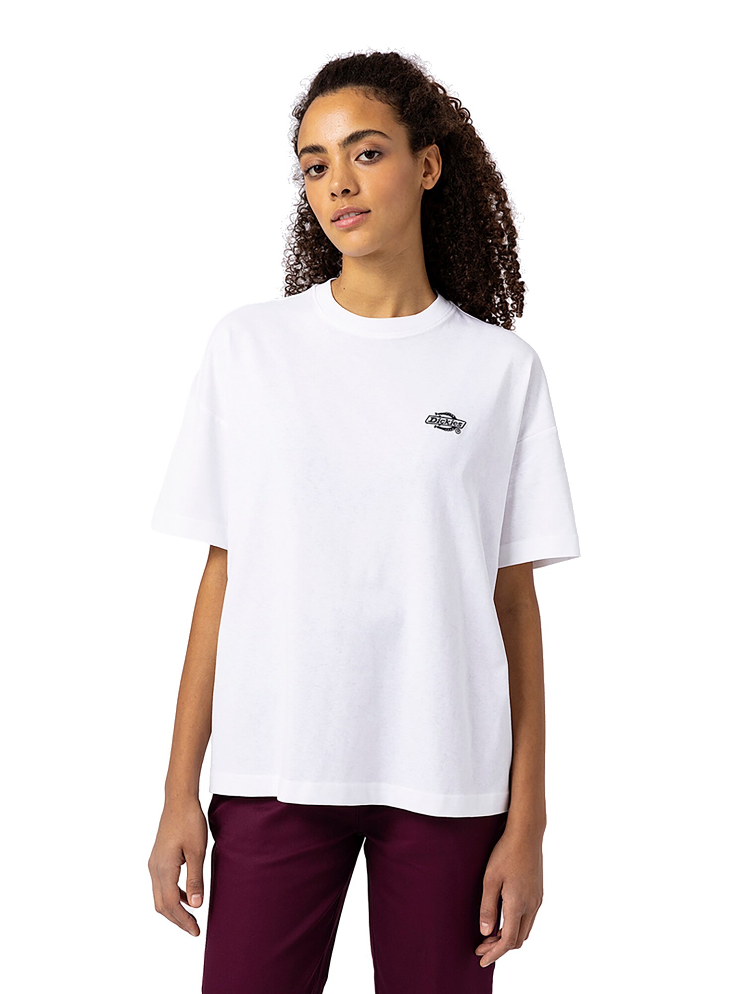 Thumbnail - DICKIES Shirt Summerdale