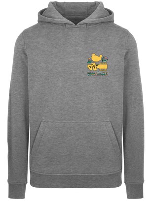 F4NT4STIC Sweatshirt ‘Woodstock’ Grijs / Gemengde kleuren