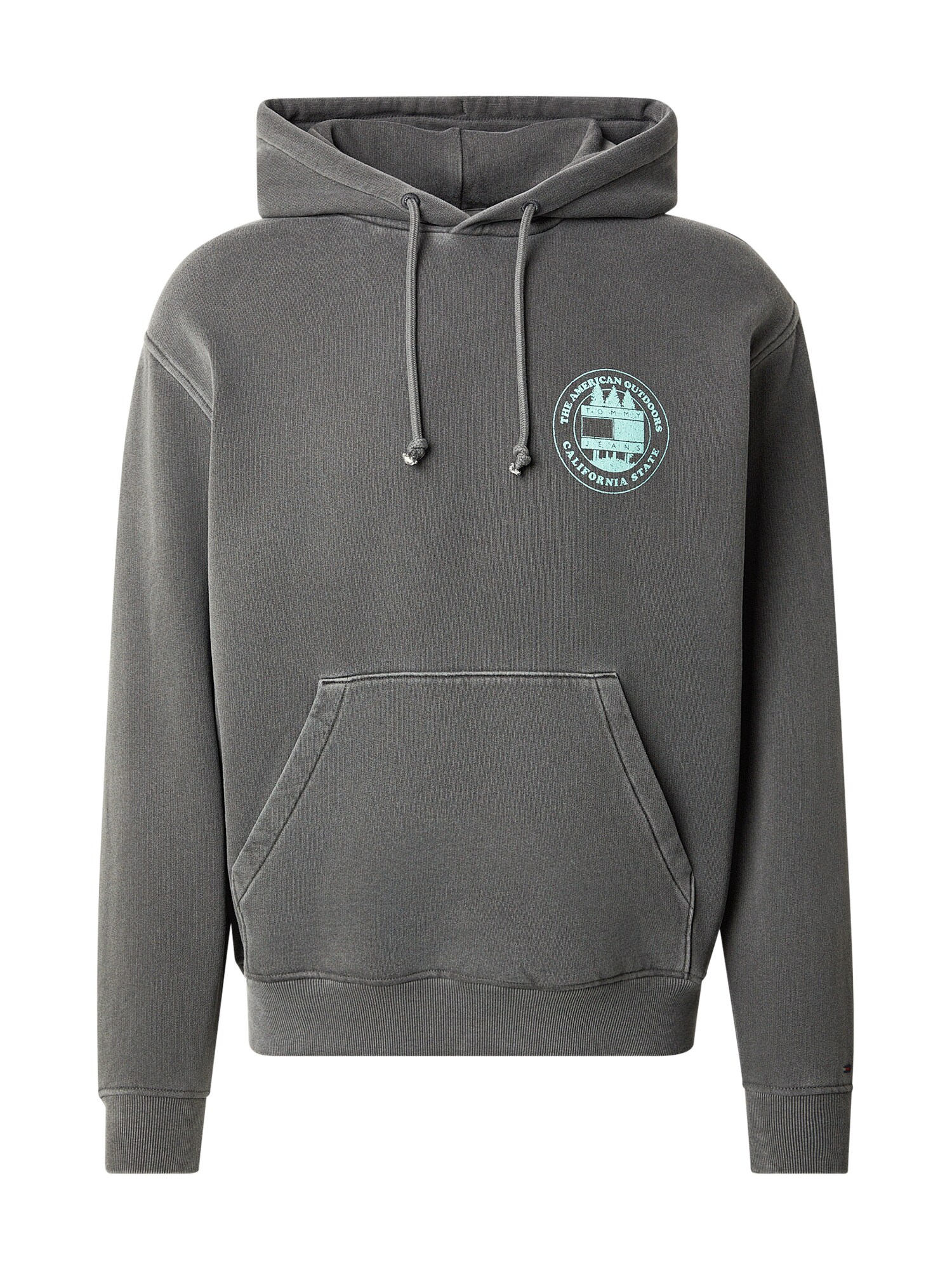 Tommy Jeans Bluză de molton  gri / verde mentă