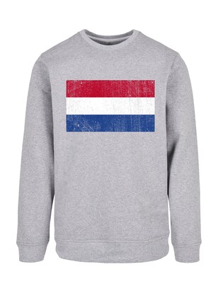 F4NT4STIC Sweatshirt Blauw / Grijs / Lichtrood