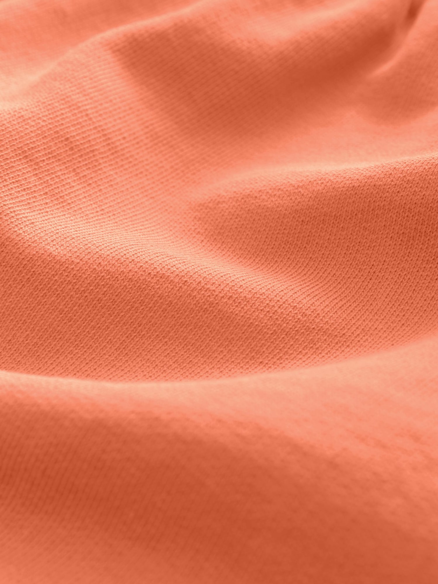 Thumbnail - Next Shorts