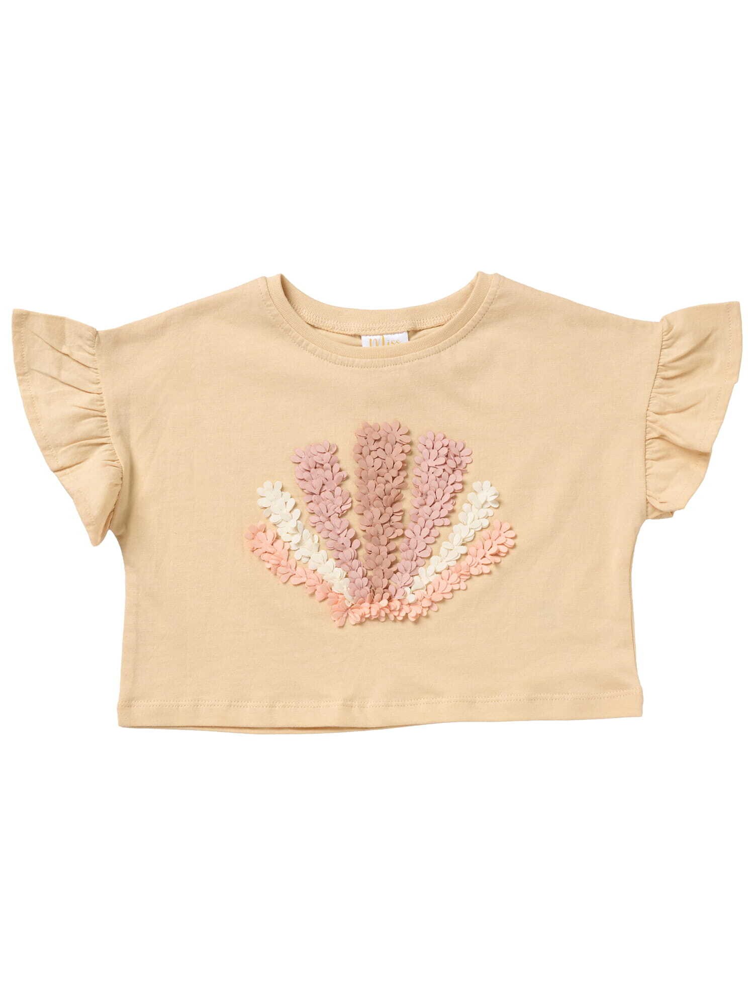 Thumbnail - Miss Set Muschel