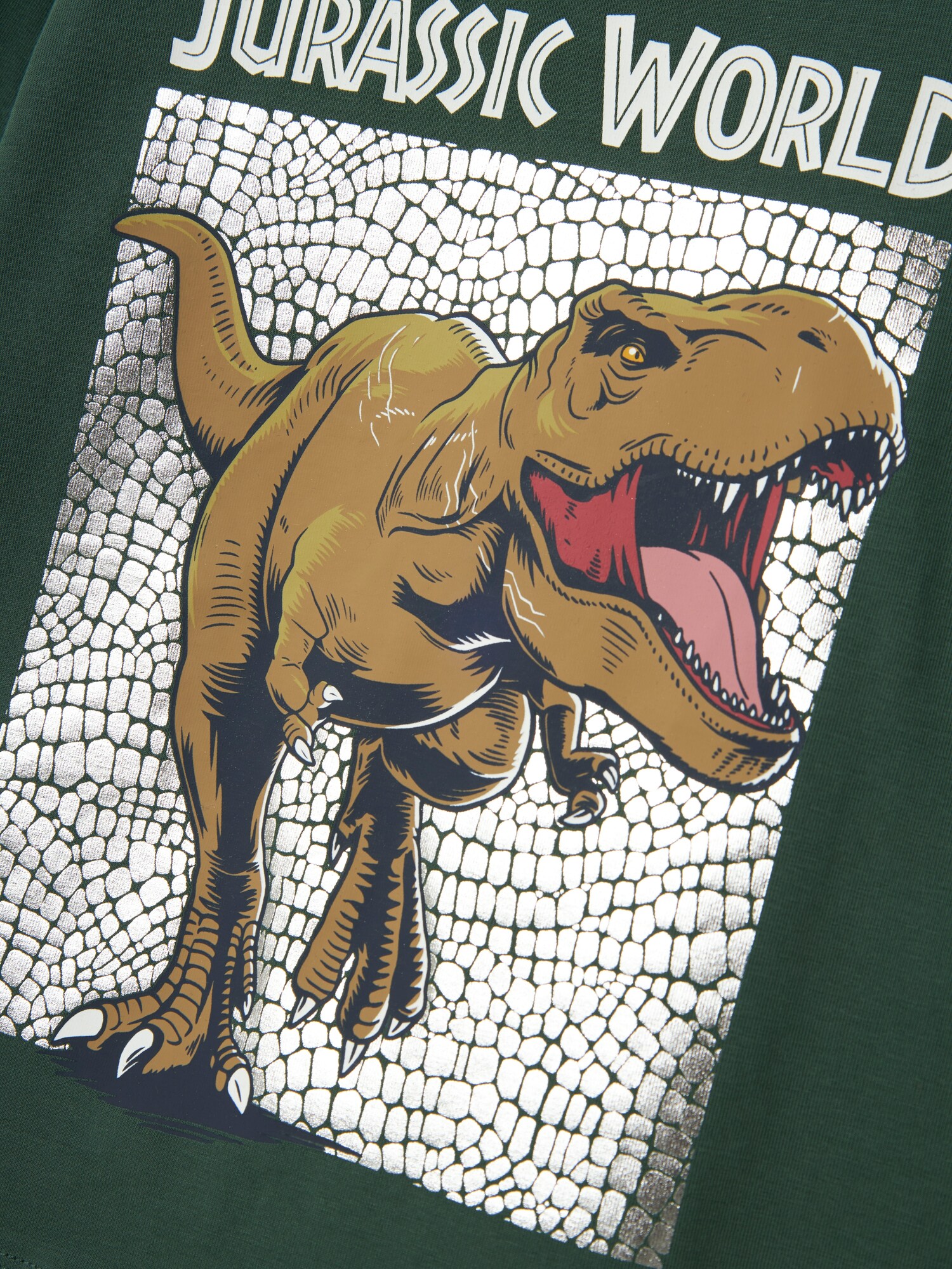 Thumbnail - NAME IT Shirt NMMJurassic World