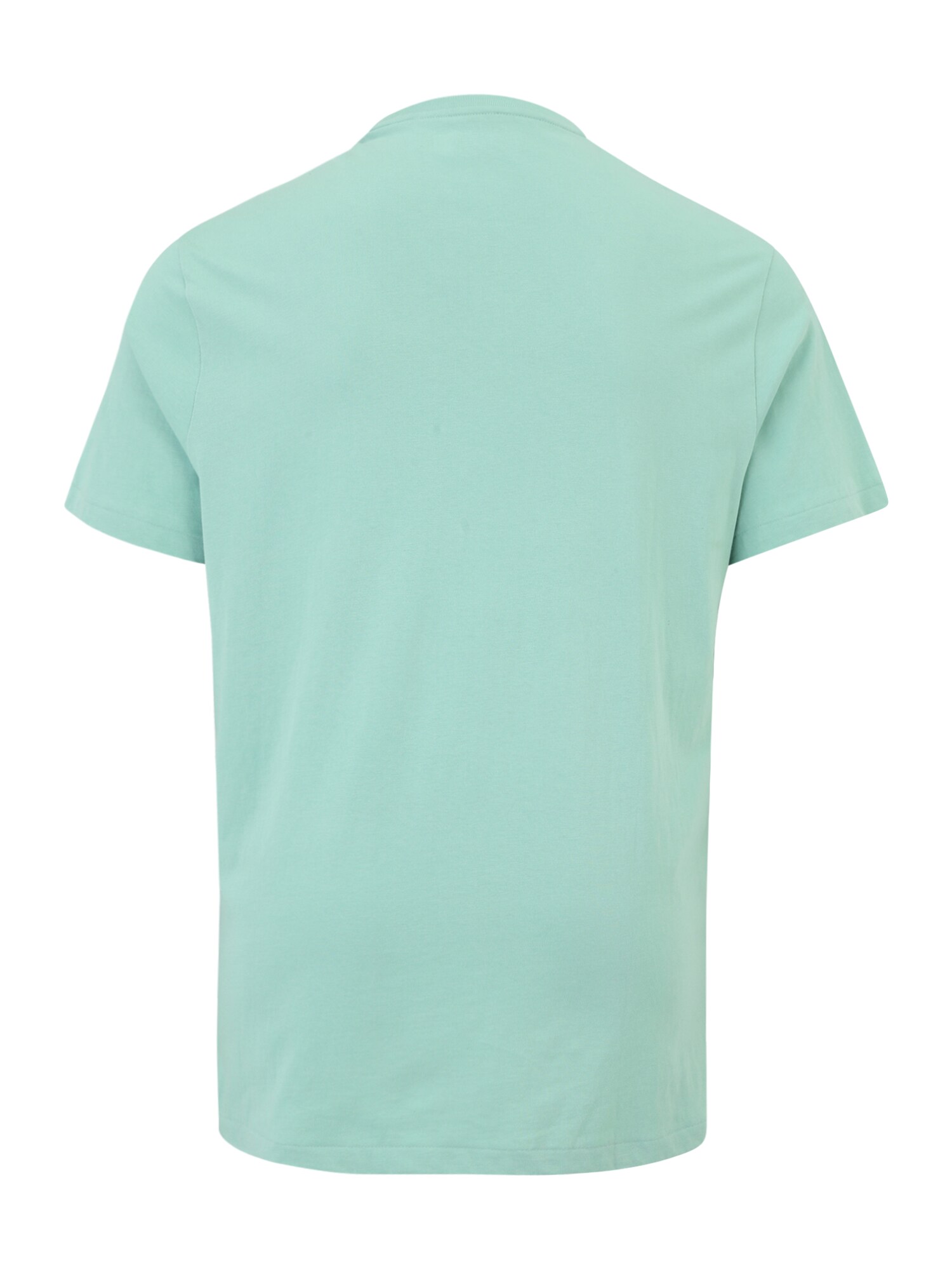 Polo Ralph Lauren Big & Tall Póló  menta termék 2. képe