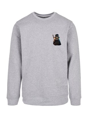 F4NT4STIC Sweatshirt ‘Wizard Cat’ Beige / Blauw / Grijs / Zwart