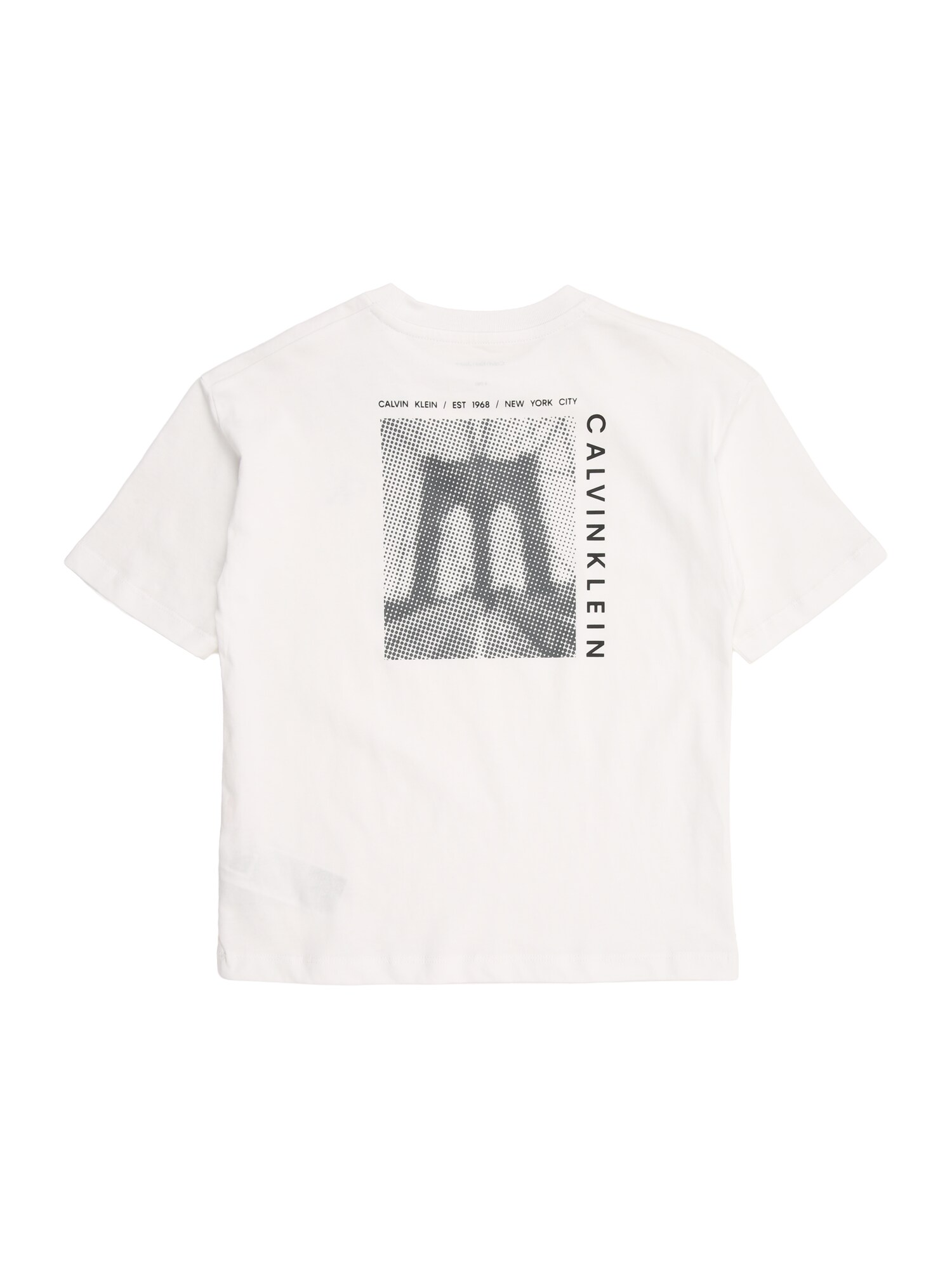 Calvin Klein Jeans Tričko 'BRIDGE'  čierna / biela (obrázok 2)