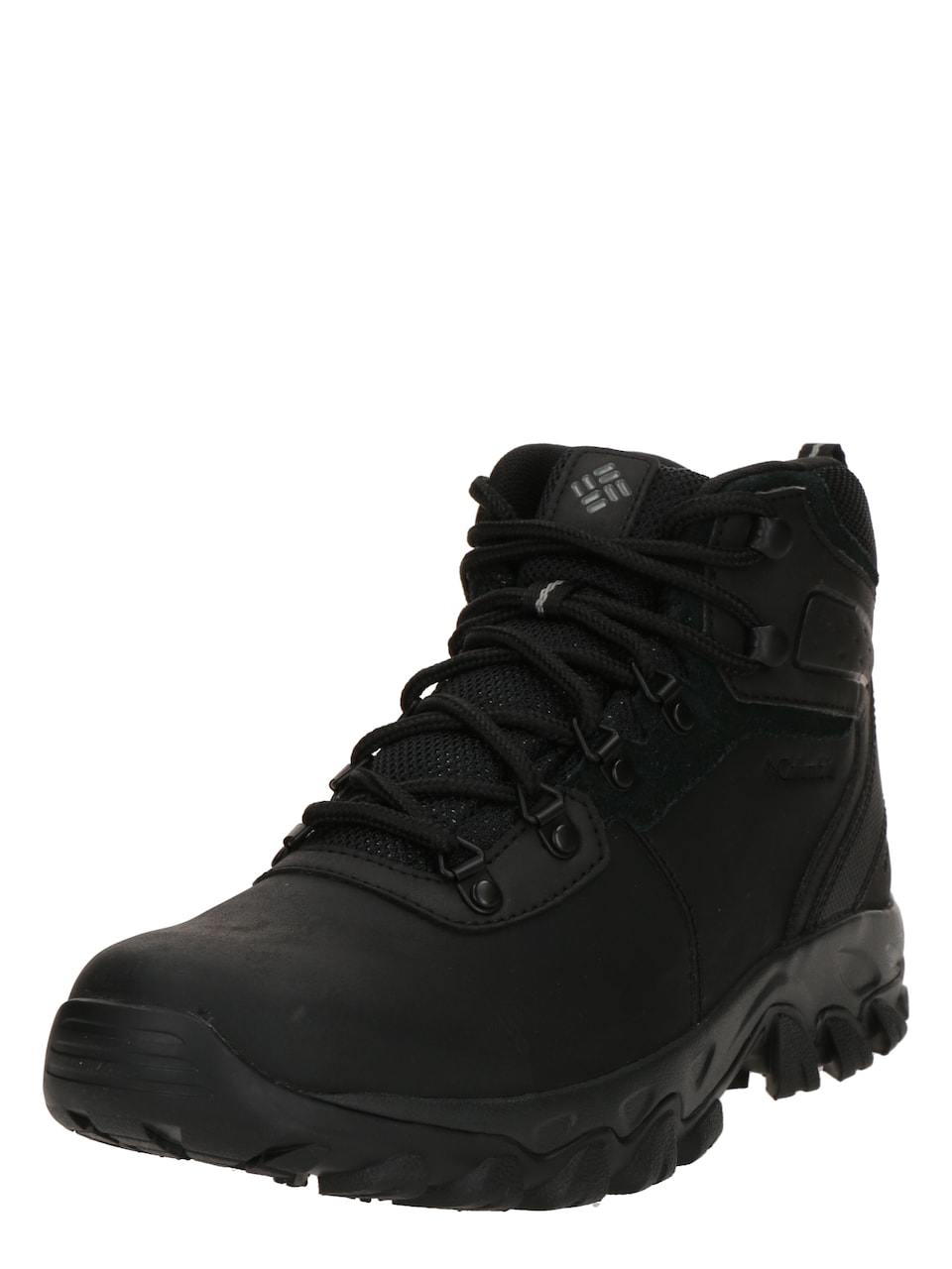Boot 'NEWTON RIDGE PLUS II'