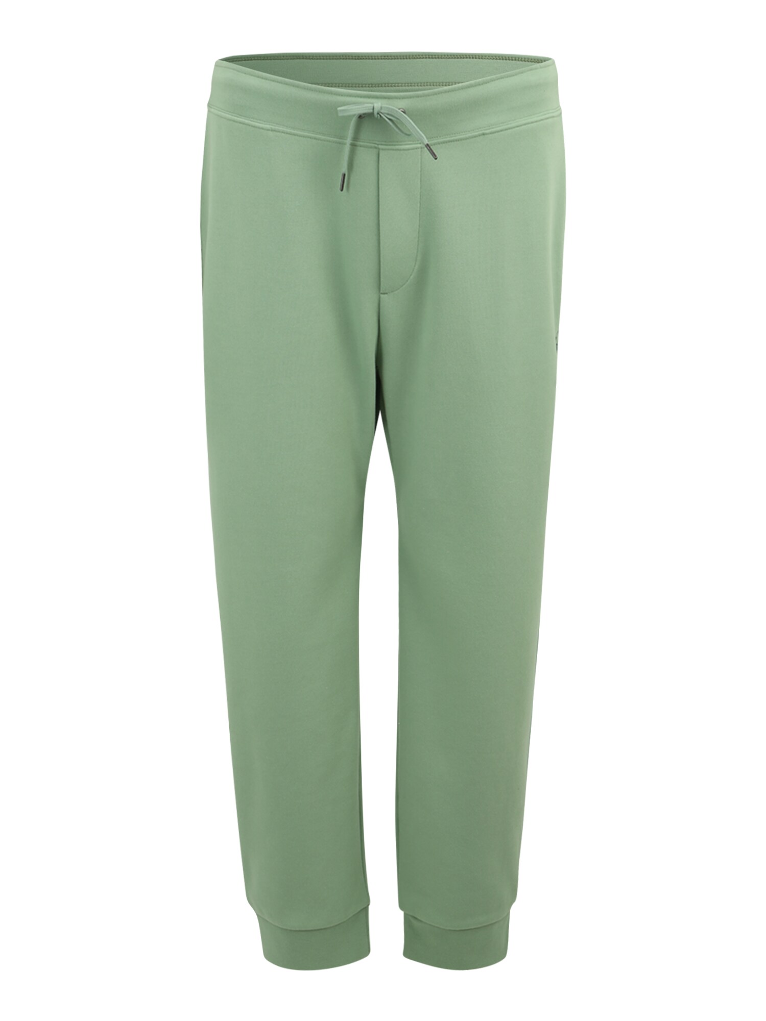 Polo Ralph Lauren Big & Tall Kelnės šviesiai žalia