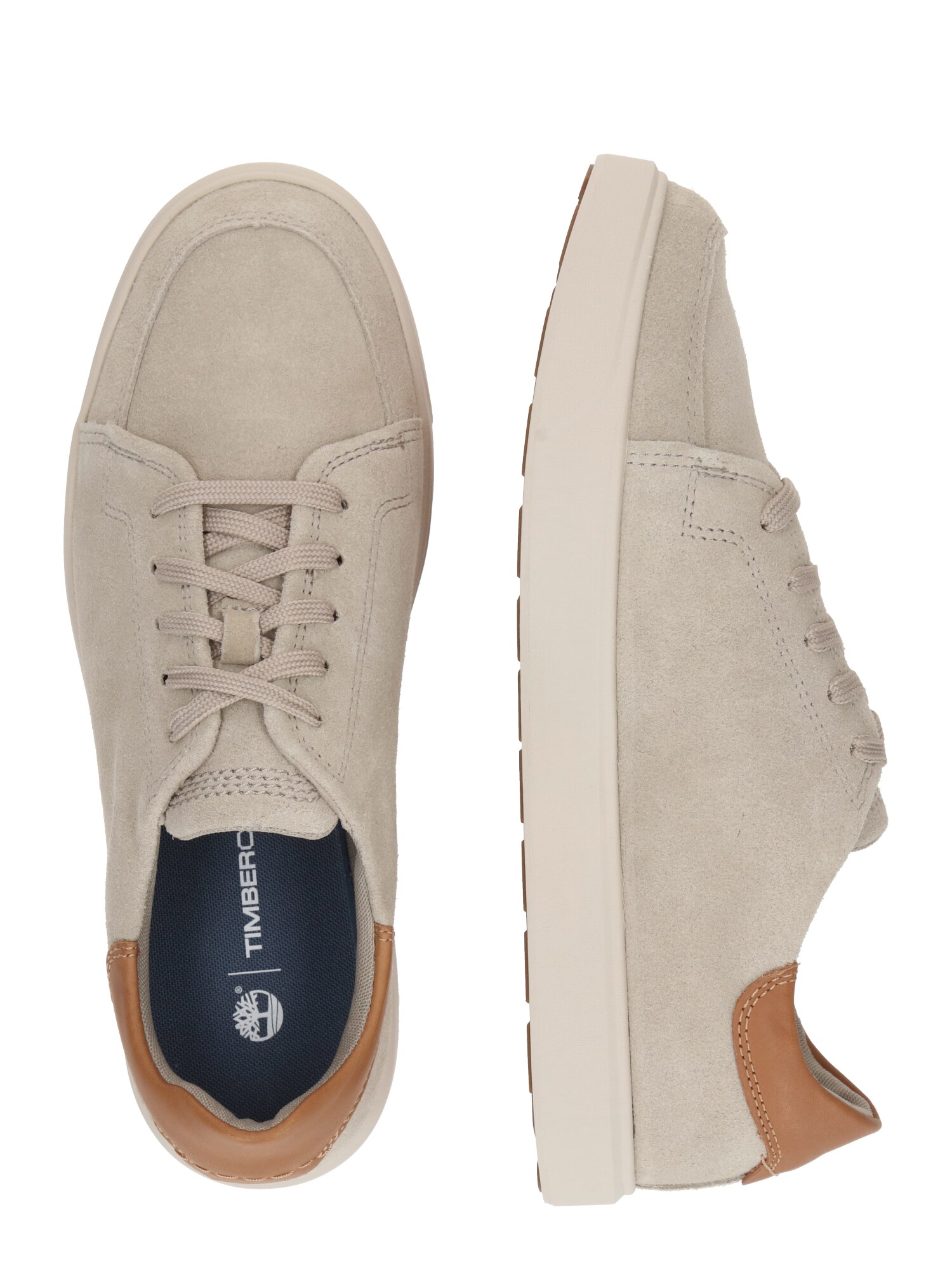 TIMBERLAND Rövid szárú sportcipők  barna / taupe termék 2. képe