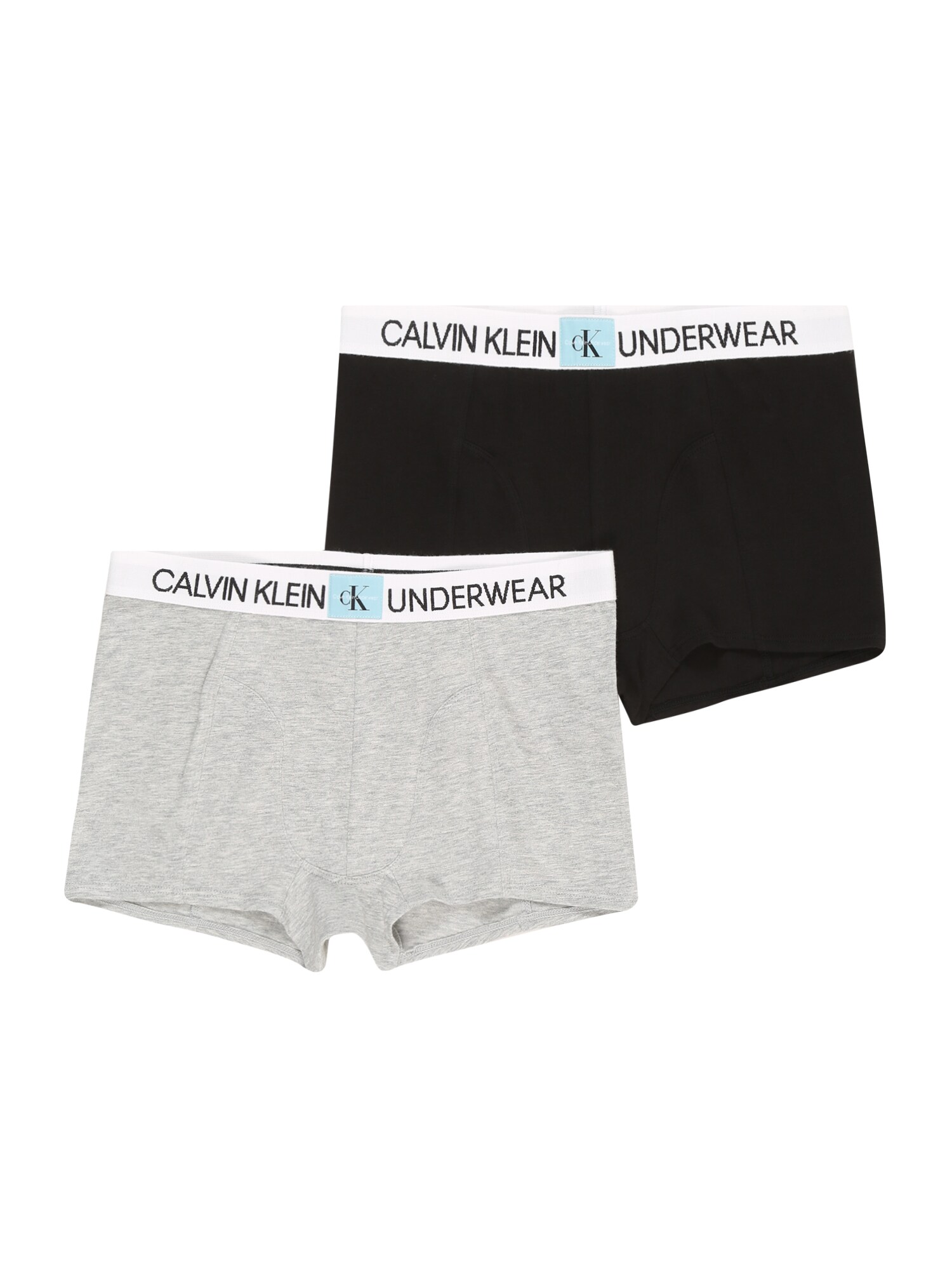 Calvin Klein Underwear Apatinės kelnaitės  juoda / margai pilka