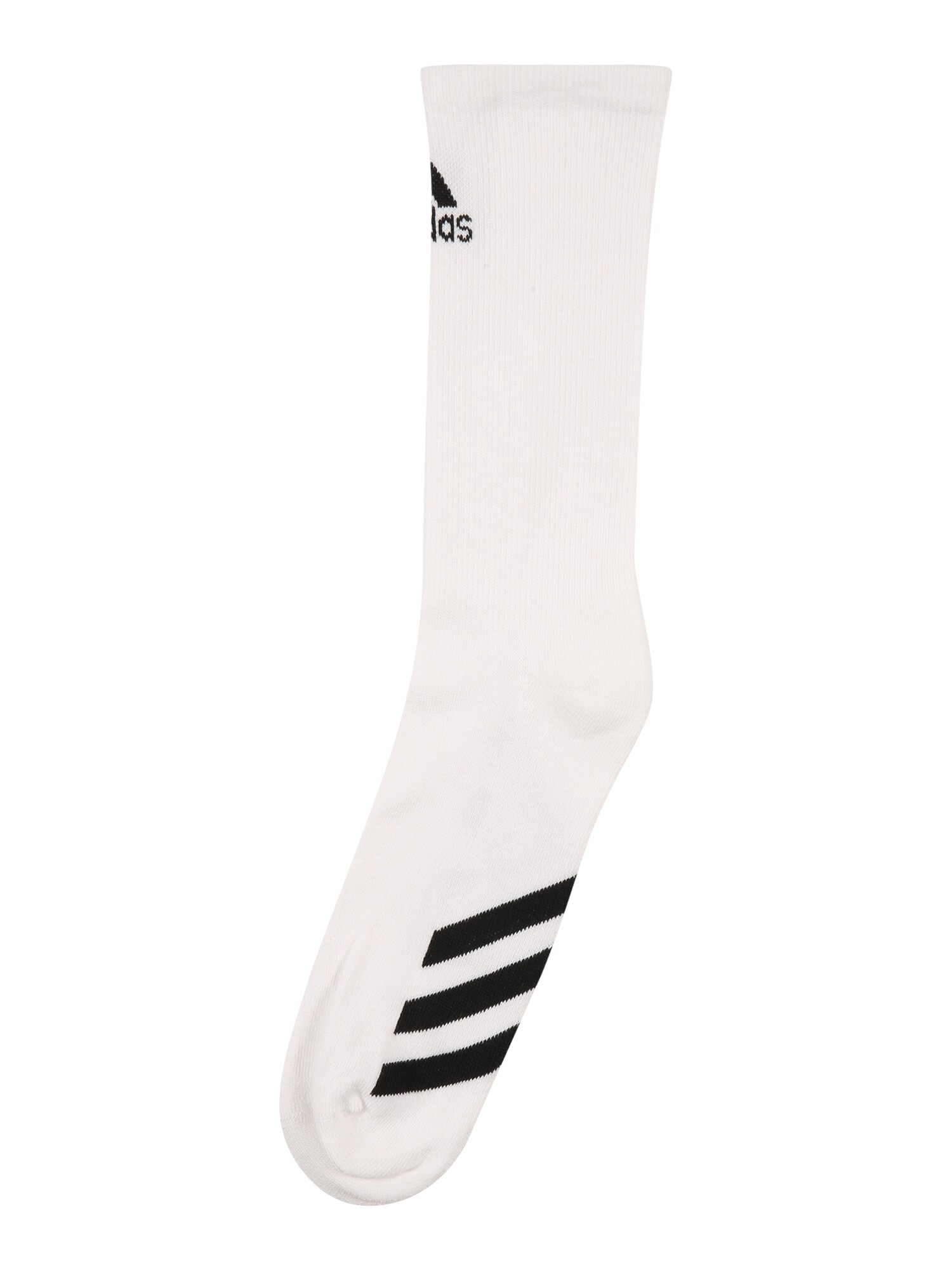 adidas Golf Sportinės kojinės  balta / juoda