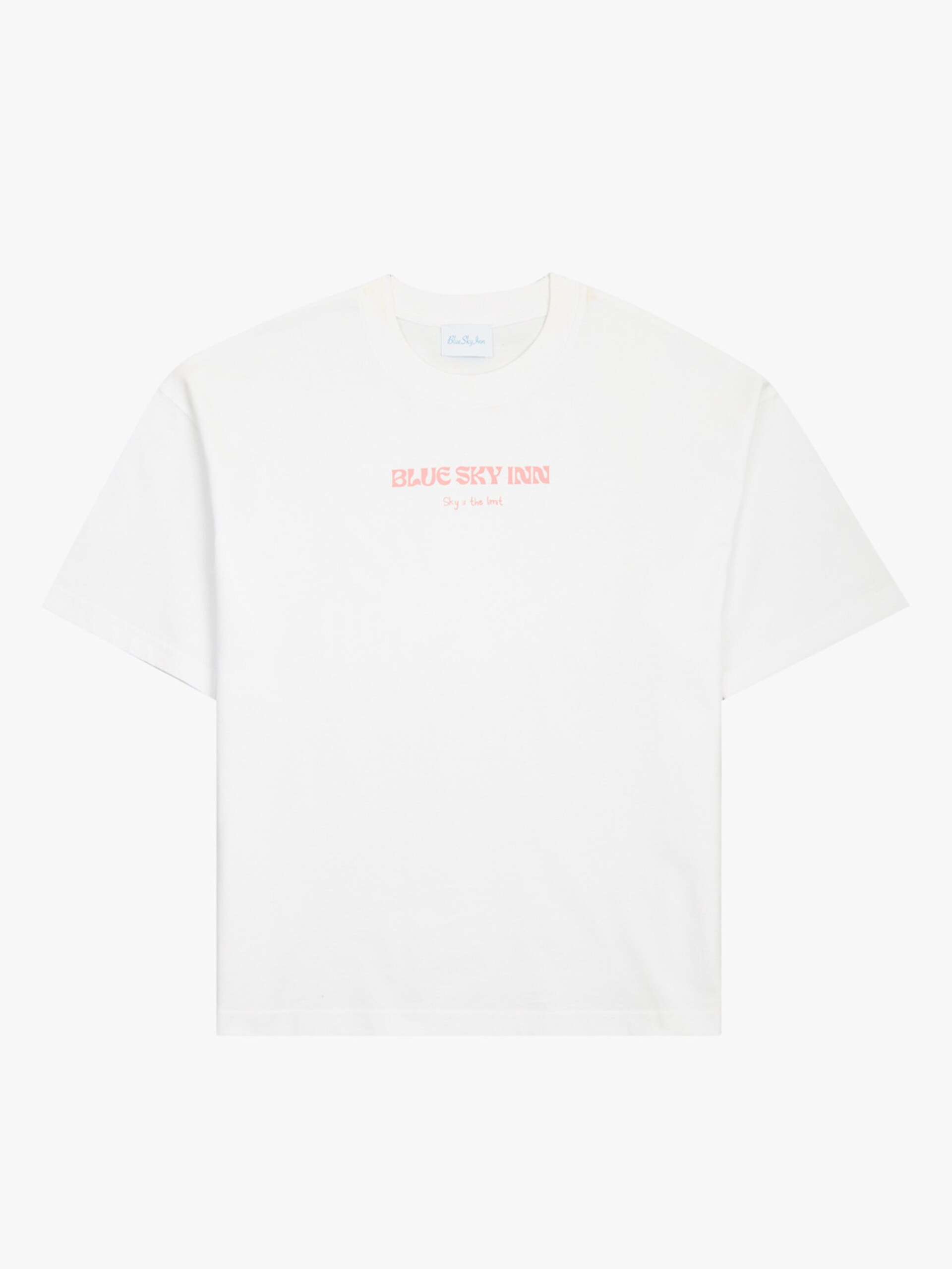 BLUE SKY INN T-shirt 'Piña Colada' herr