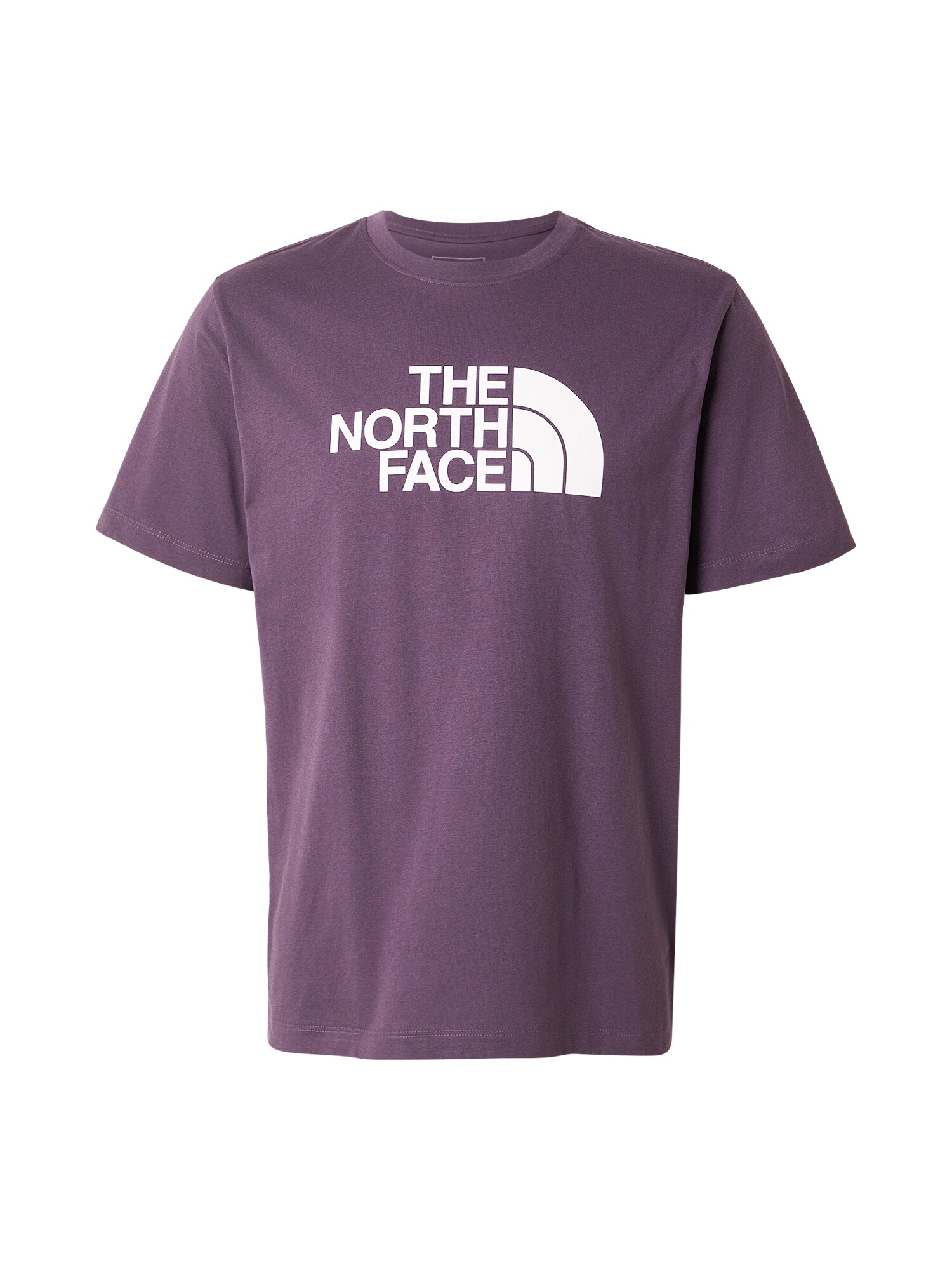 THE NORTH FACE Tricou EVOLUTION HALF DOME  mov închis / alb