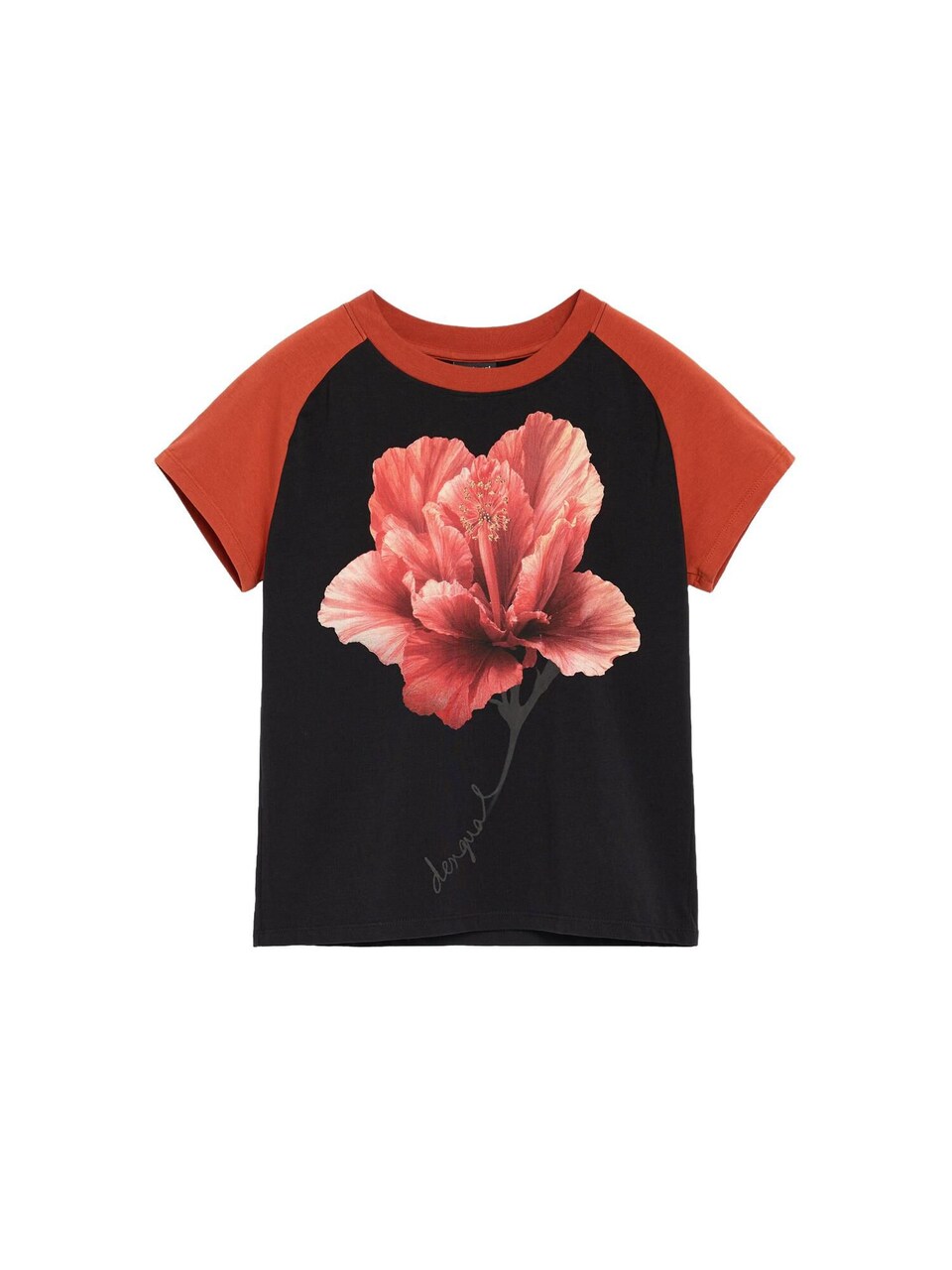 T-shirt pitaya / pastellrosa / roströd