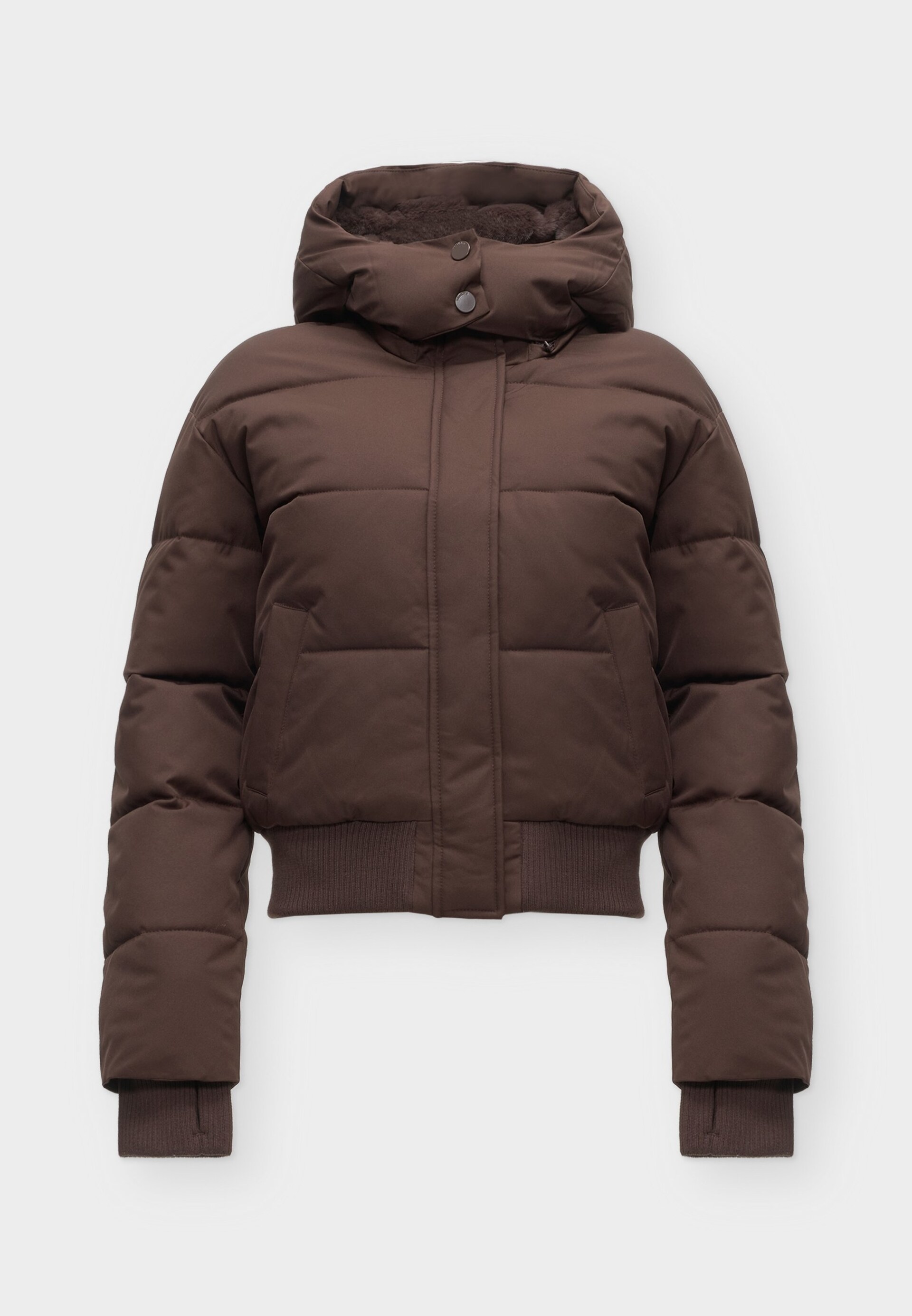 HOLLISTER Vinterjacka 'FEEL GOOD' dam