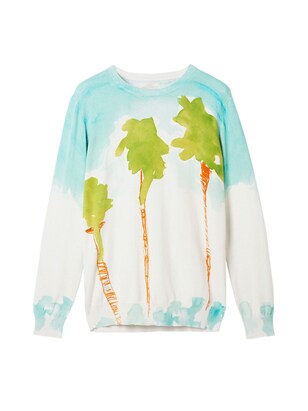 Desigual Sweatshirt Aqua / Bruin / Grasgroen / Wit