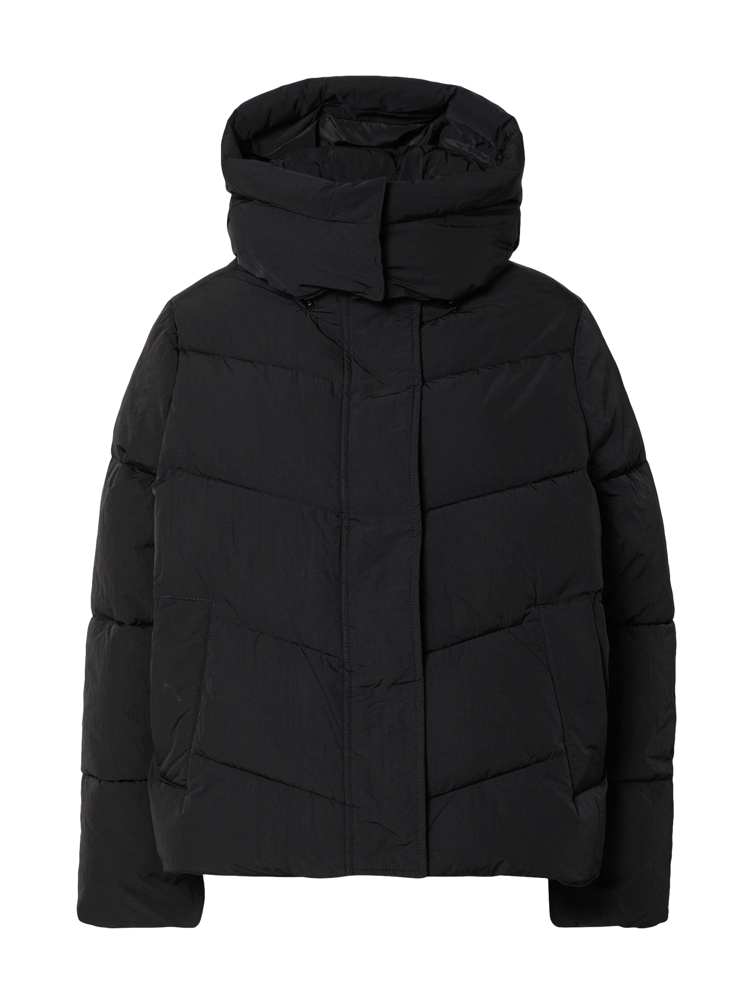 Calvin Klein Zimska jakna  črna