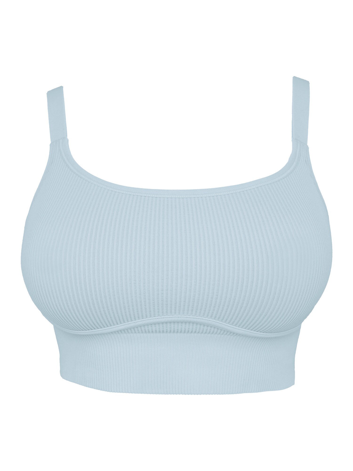 SugarShape Bh Freeda