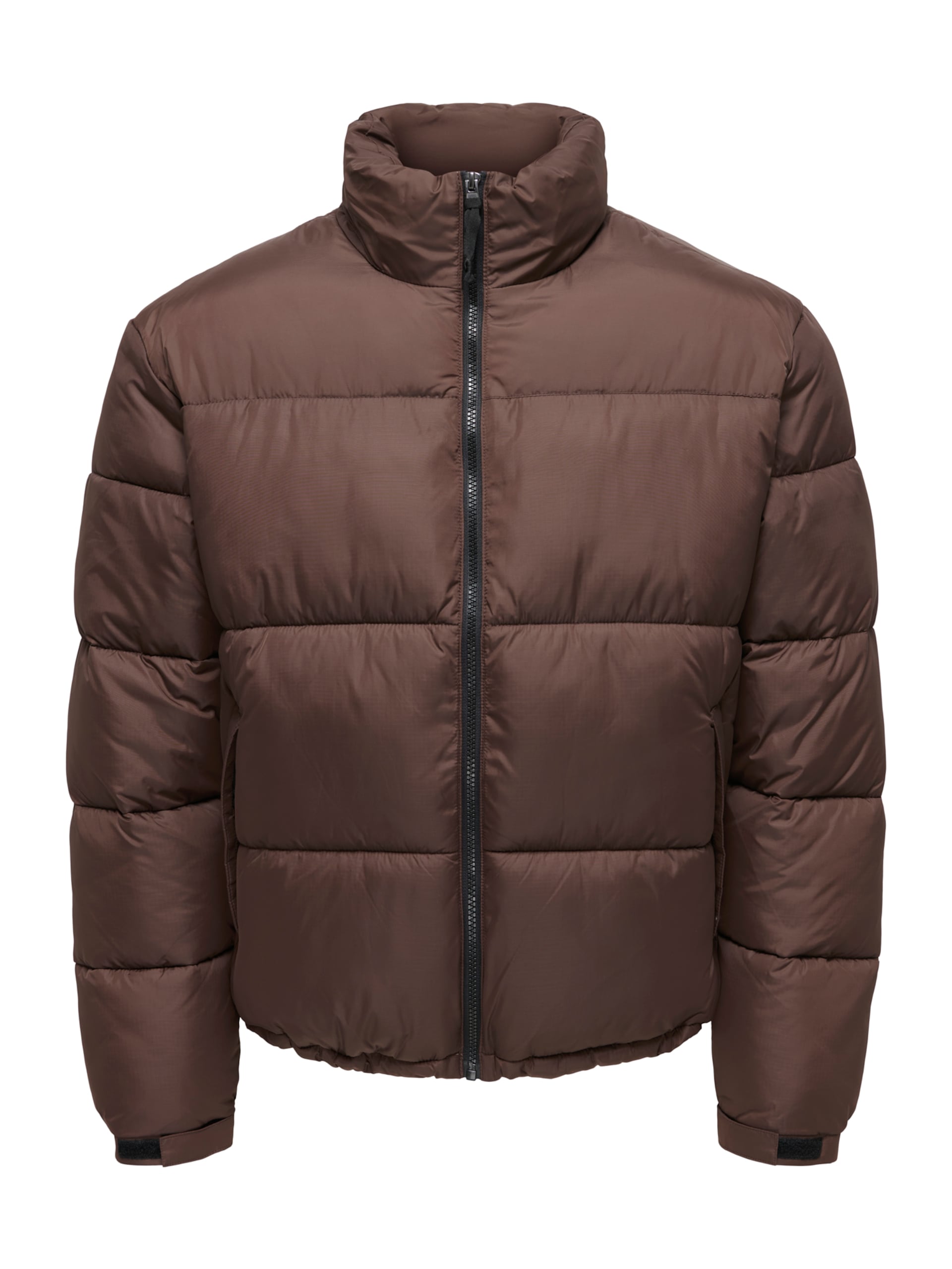 ONLY & SONS Vinterjacka 'ONSMAVERICK' herr