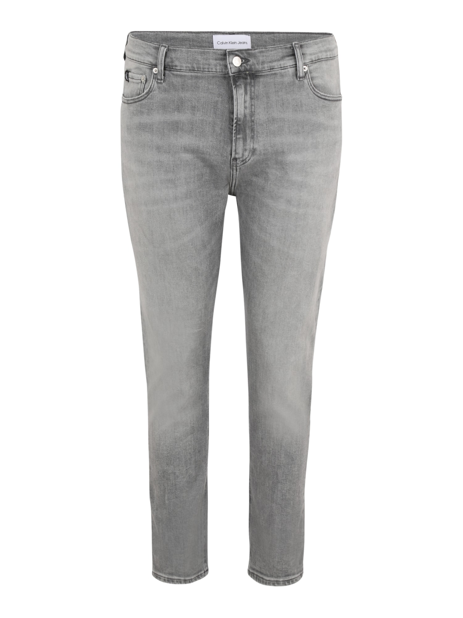 Calvin Klein Jeans Plus Džinsai pilko džinso