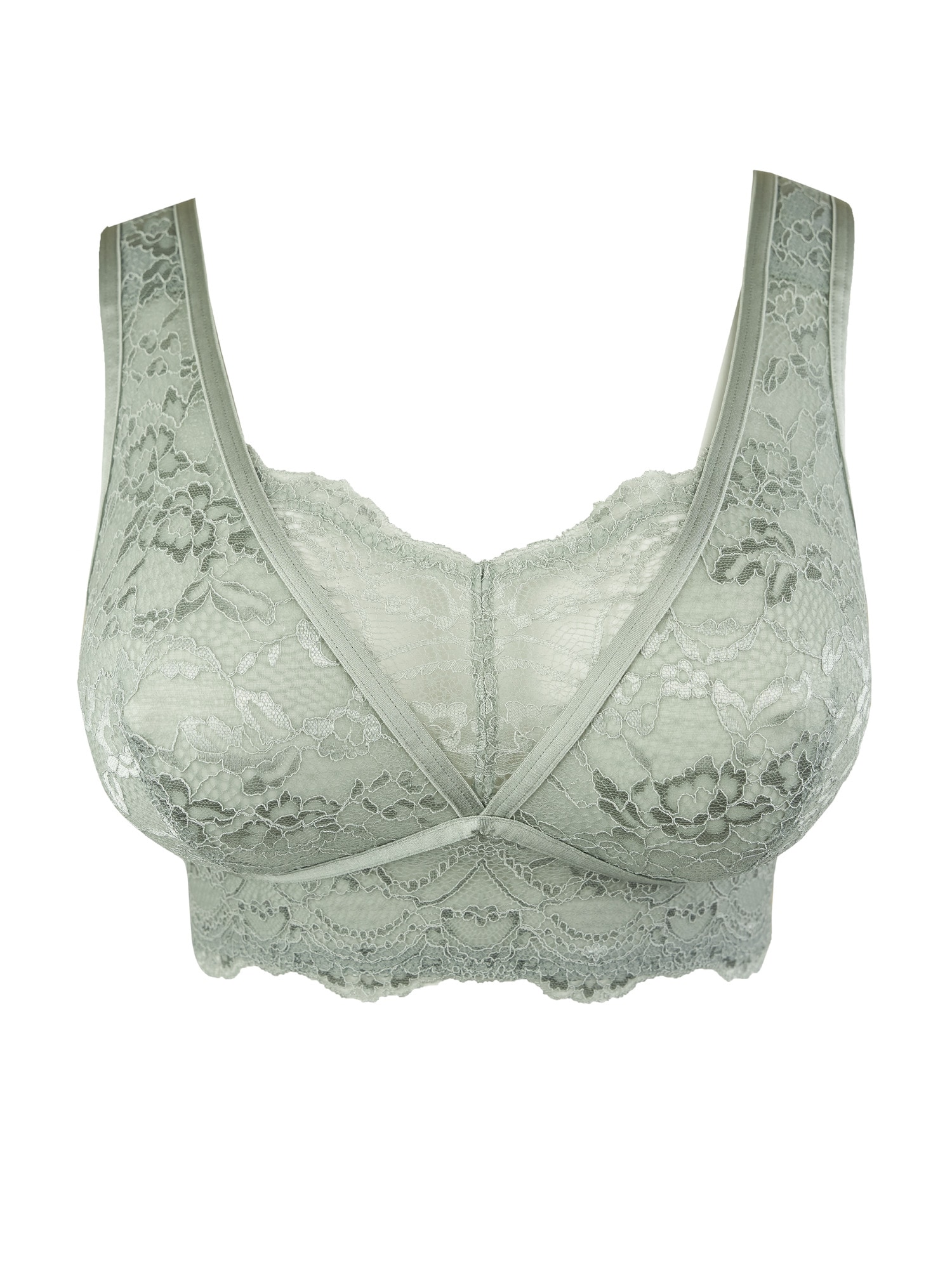 SugarShape Bh Eliana
