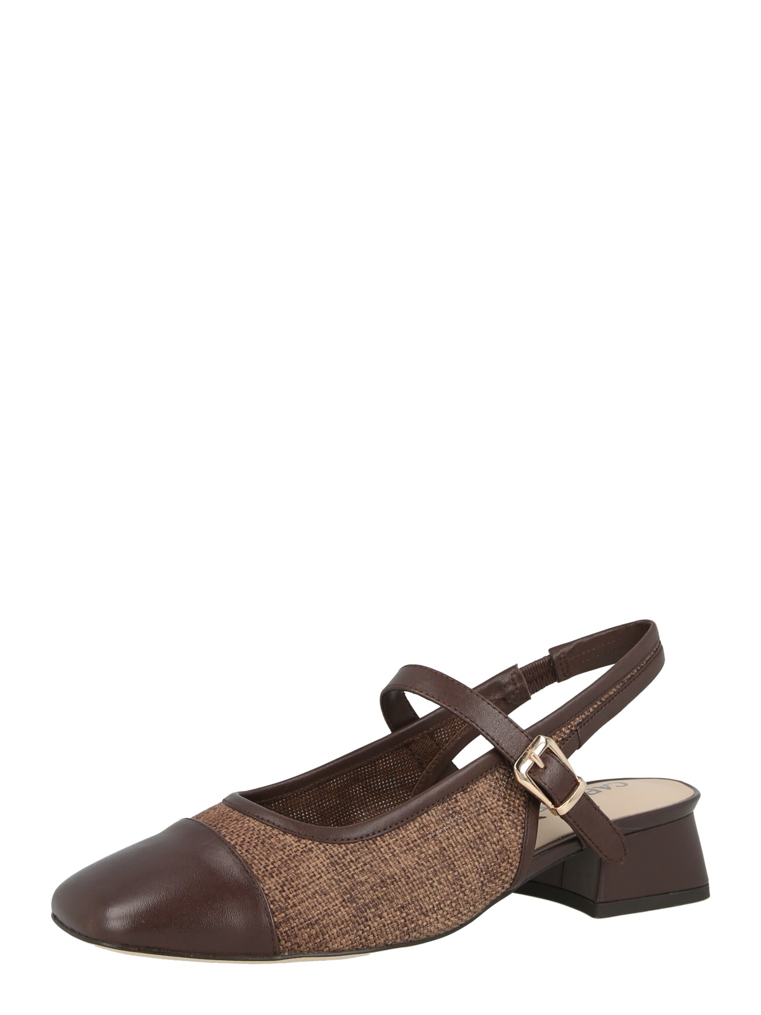 CAPRICE Pumps  maro / gri taupe