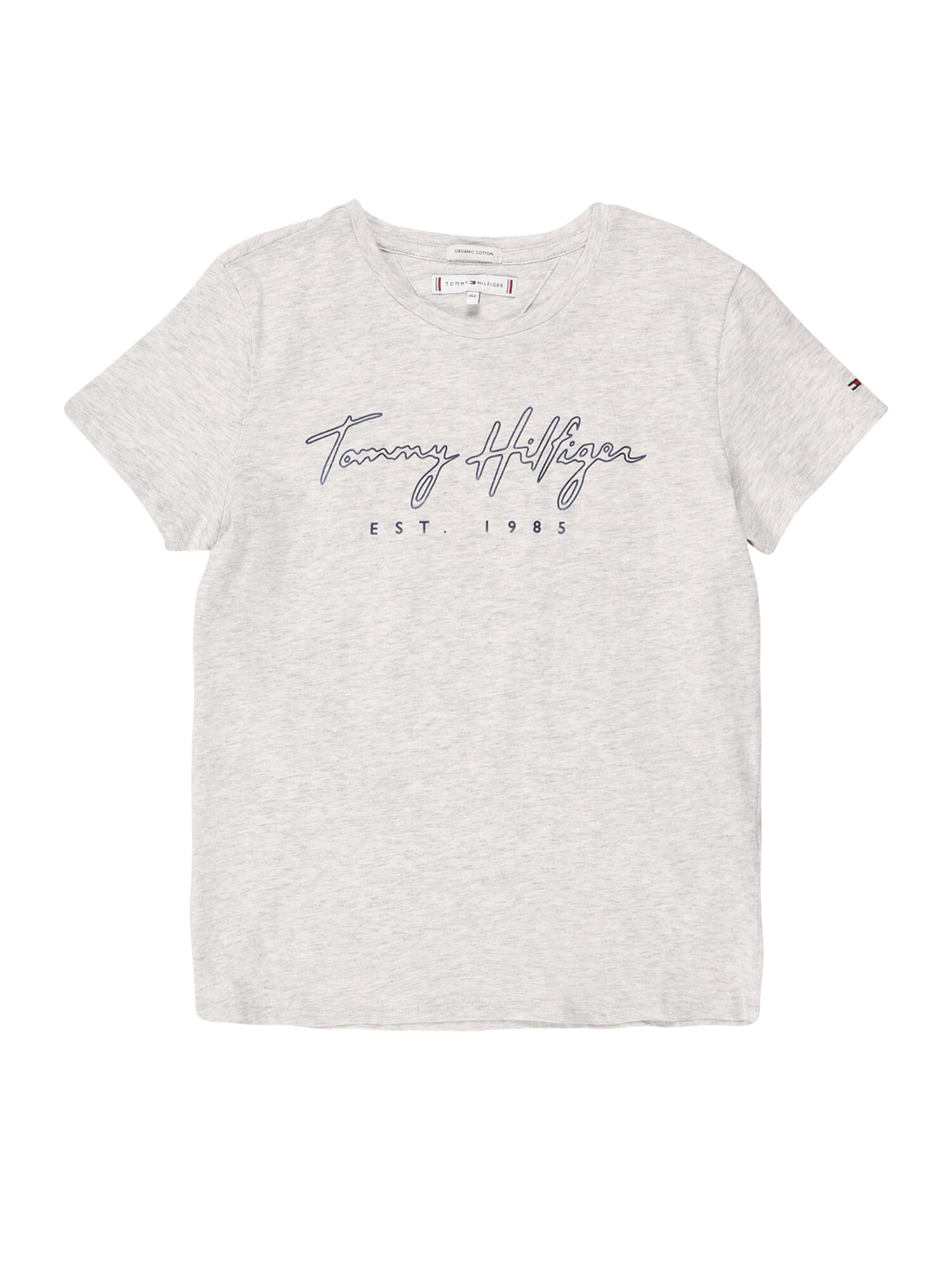TOMMY HILFIGER Marškinėliai  šviesiai pilka / pilka