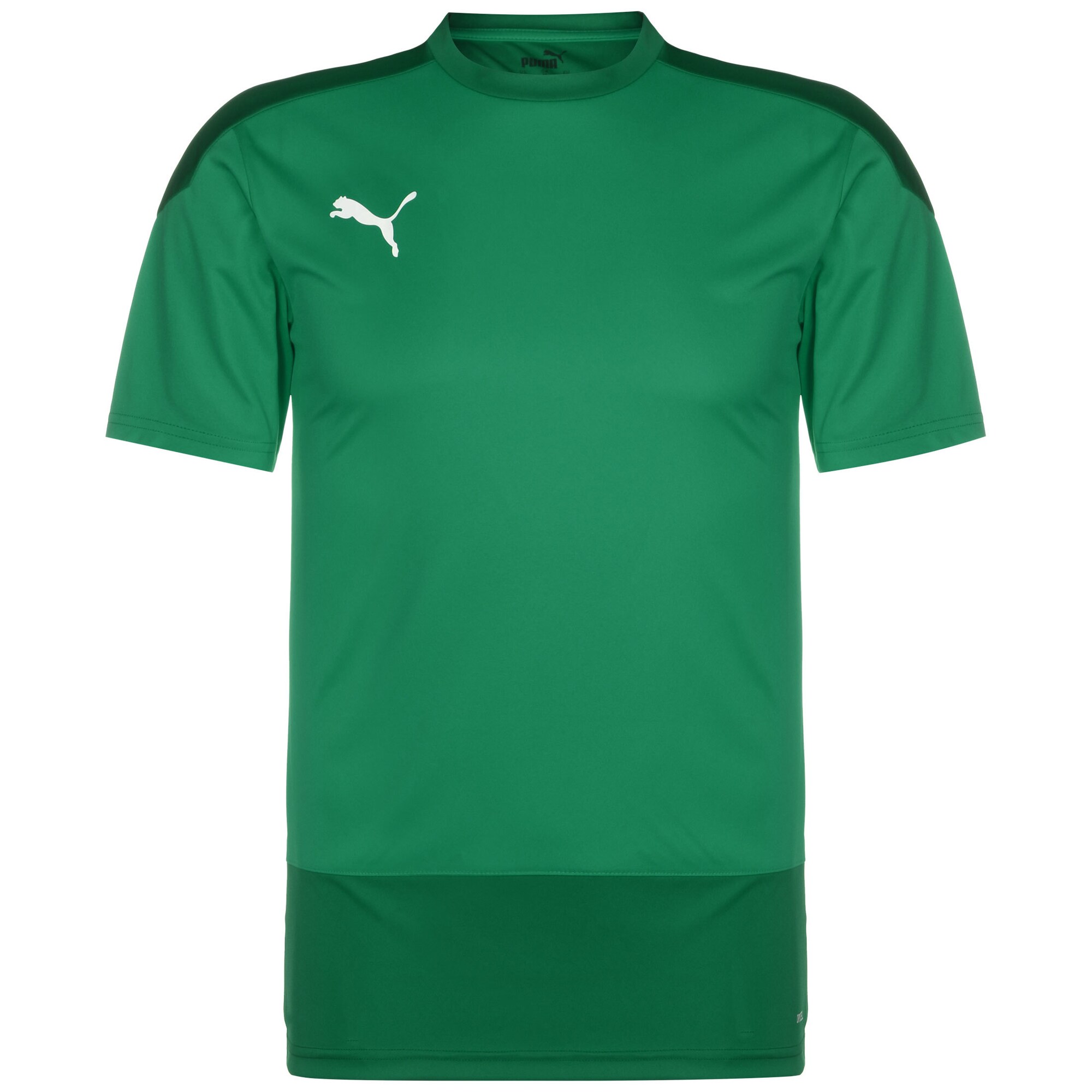 PUMA Tricou funcțional TeamGoal 23  verde / verde închis