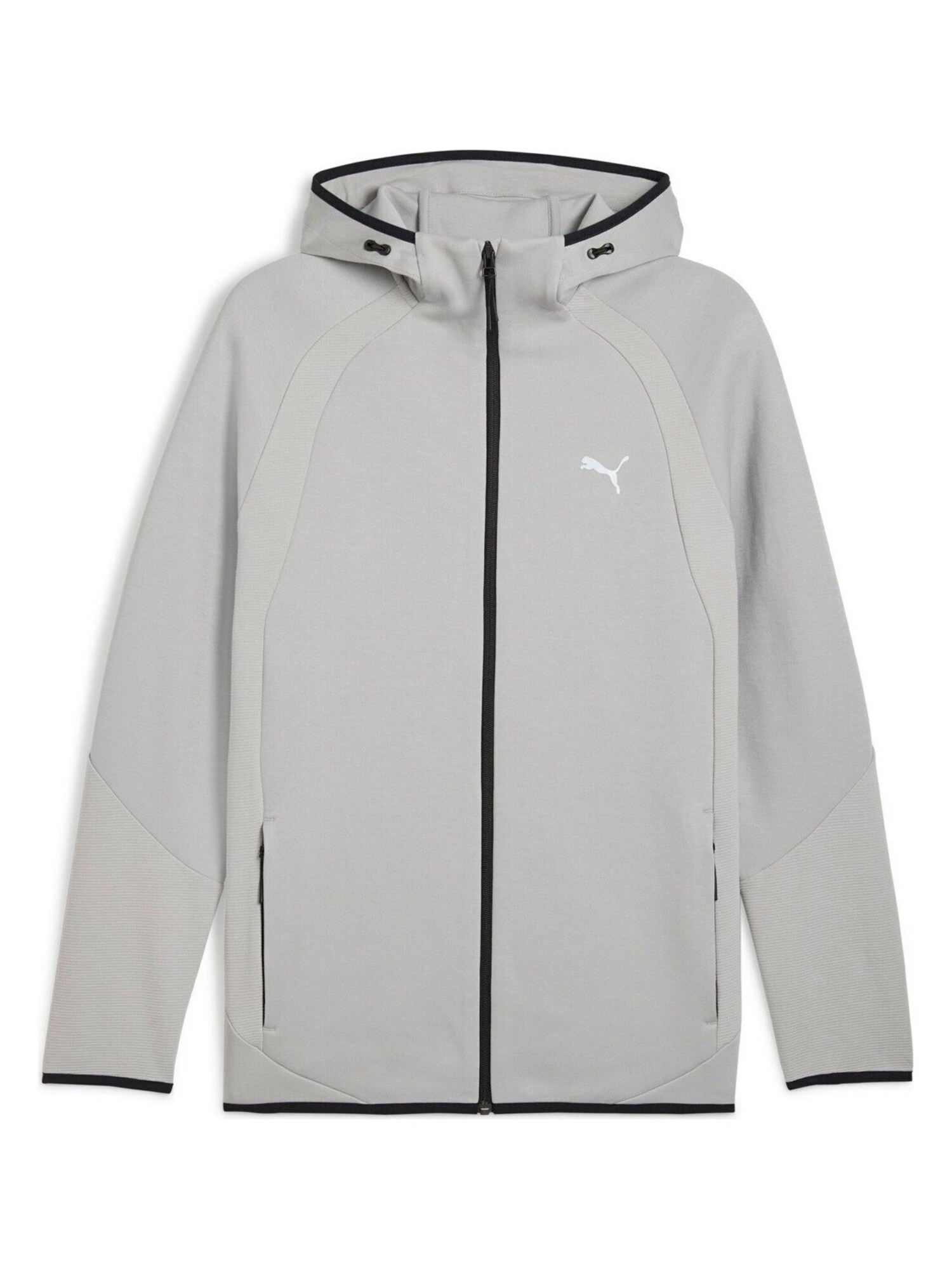 PUMA Sudadera con cremallera 'Puma Evostripe Fz Hoodie Dk' antracita