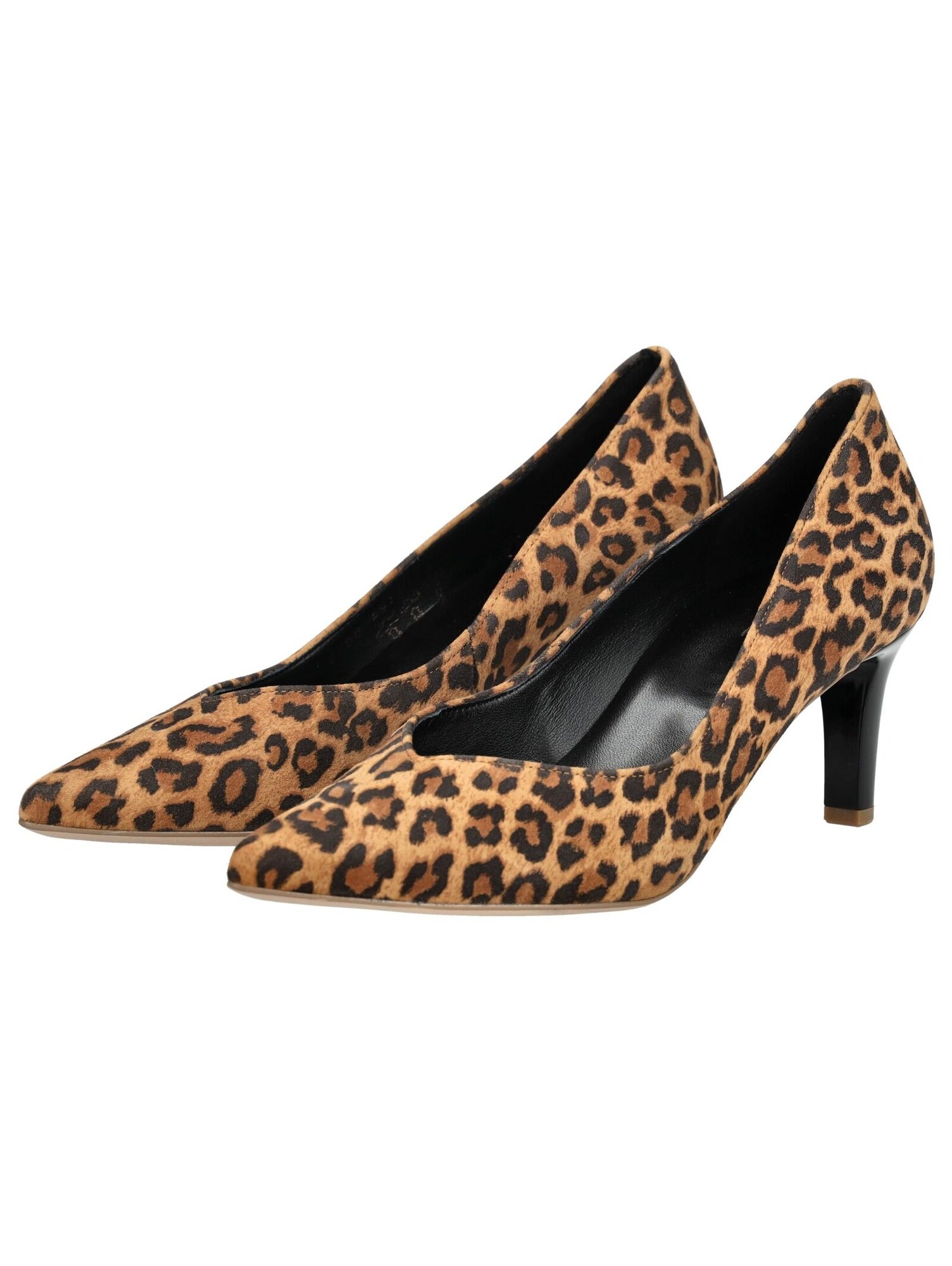 Thumbnail - Högl Pumps