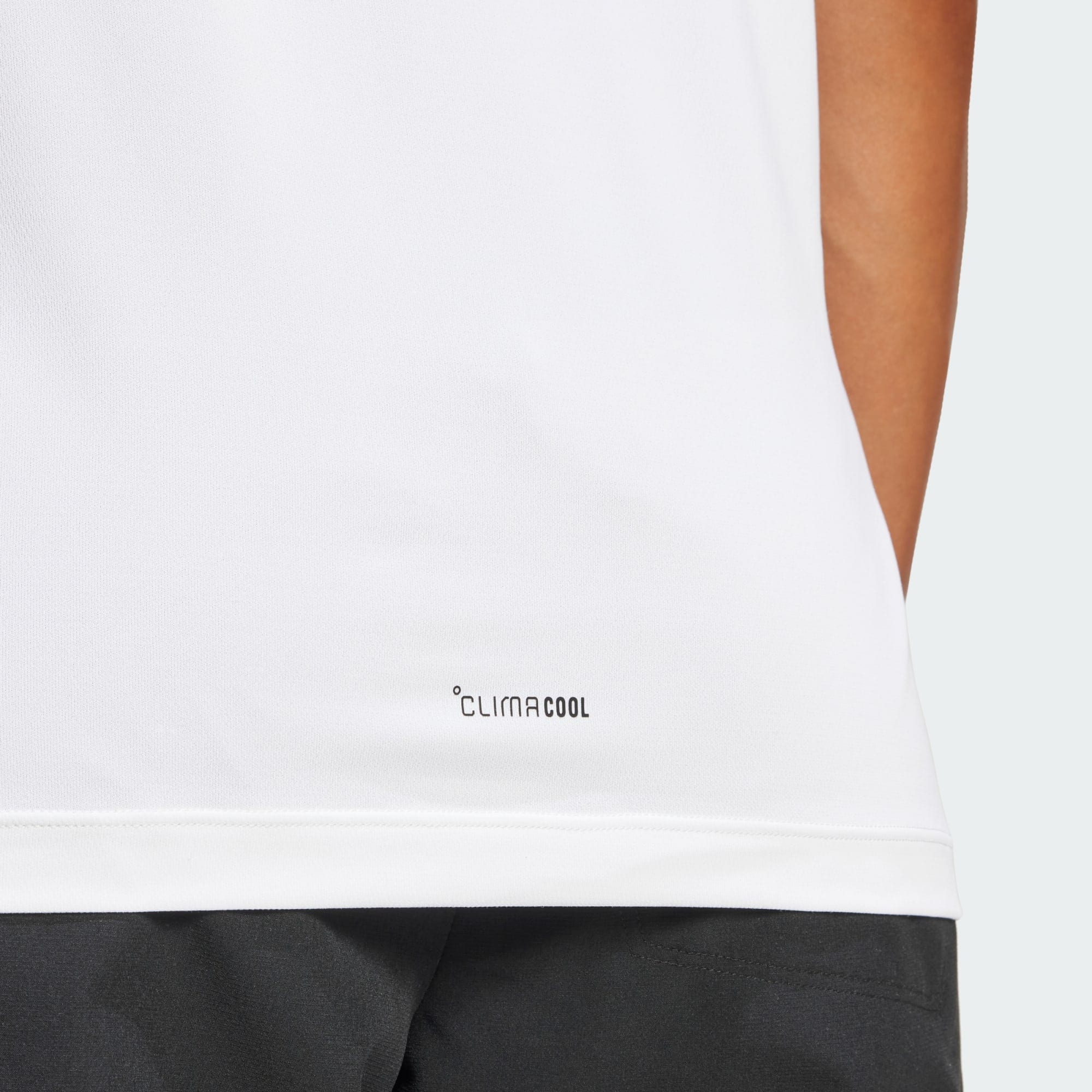 ADIDAS TERREX Funkčné tričko 'Multi Climacool Logo Tech' oranžová / biela (obrázok 5)