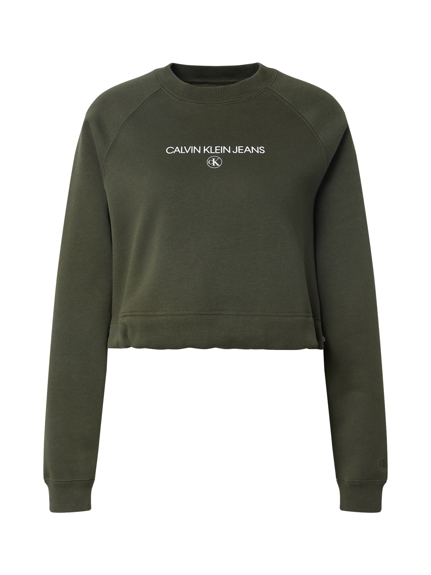Calvin Klein Jeans Megztinis be užsegimo  rusvai žalia / balta