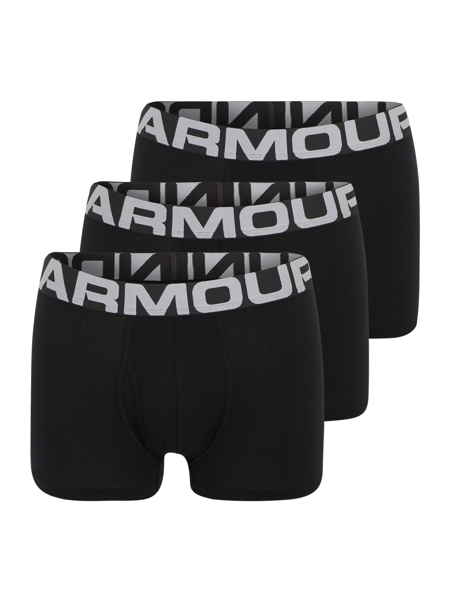 UNDER ARMOUR Boxerky  svetlosivá / čierna / prírodná biela