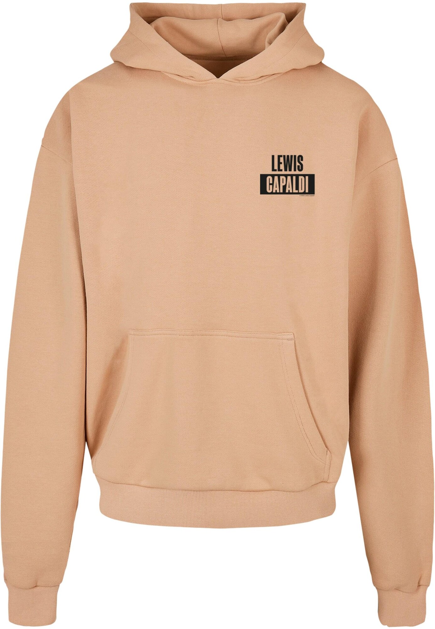 Thumbnail - Sweatshirt 'Lewis Capaldi - PP'