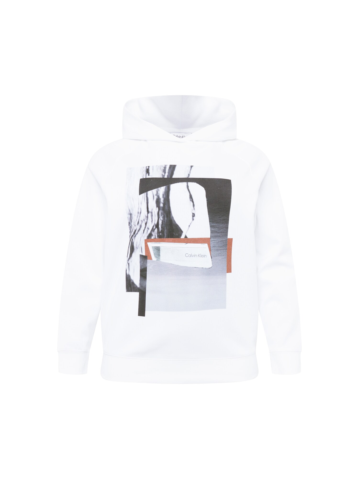 Calvin Klein Curve Sweatshirt  cinzento / preto / branco
