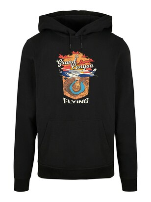 F4NT4STIC Sweatshirt ‘Grand Canyon Flying’ Gemengde kleuren / Zwart