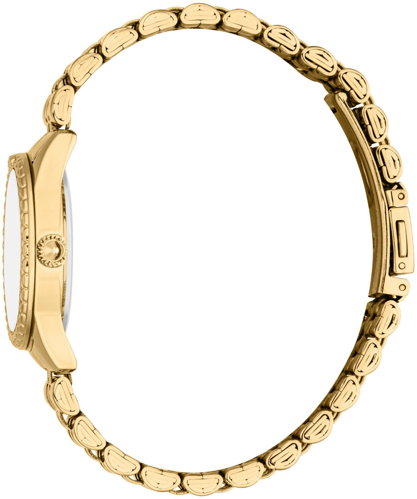 Thumbnail - Just Cavalli Time Analoguhr