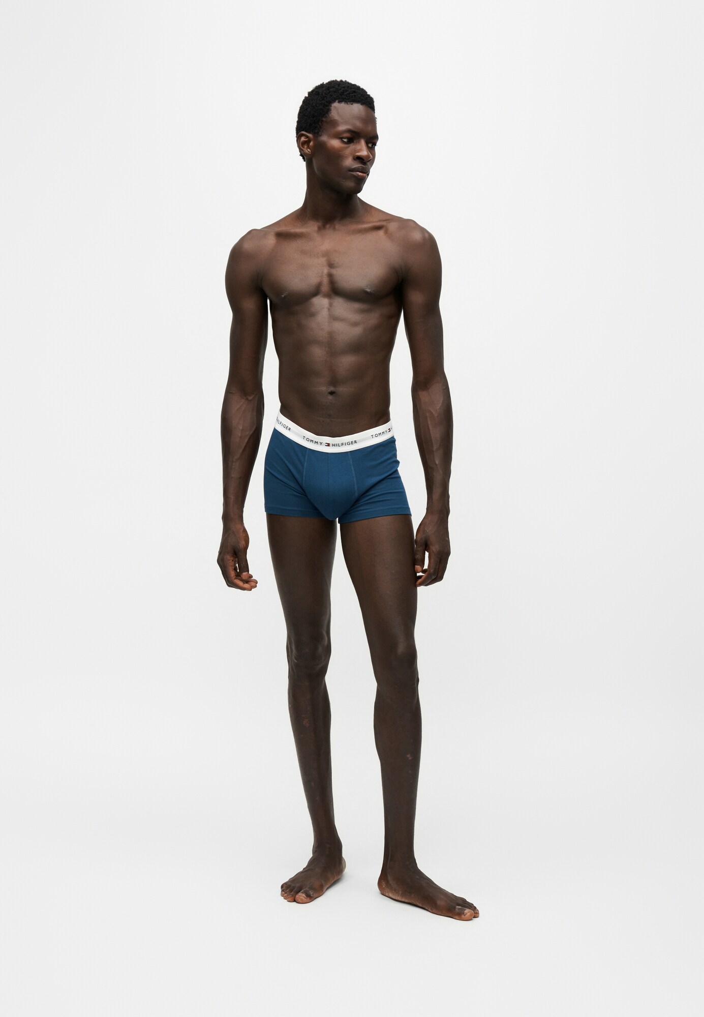 Tommy Hilfiger Underwear Calzoncillo boxer azul / marino / azul claro / blanco – imagen 2