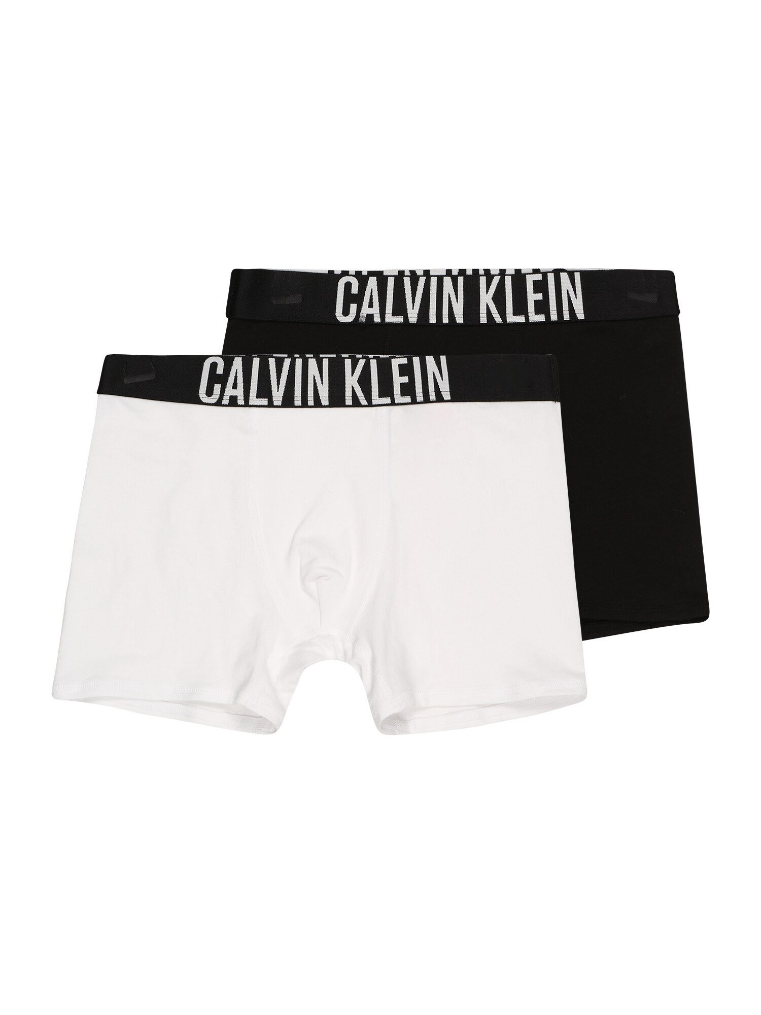 Calvin Klein Underwear Apatinės kelnaitės 'Intense Power ' balta / juoda