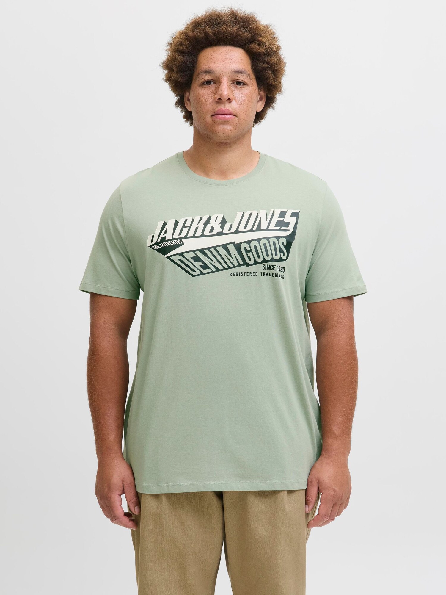 Jack & Jones Plus Póló  kék / pasztellzöld / sötétzöld / fekete / fehér termék 2. képe