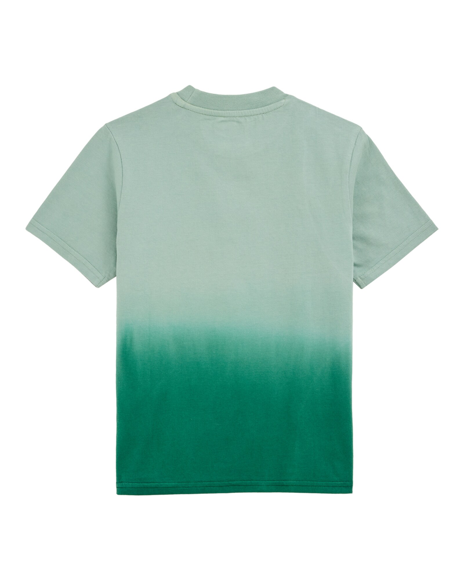 WE Fashion Póló  smaragd / pasztellzöld / fehér termék 2. képe