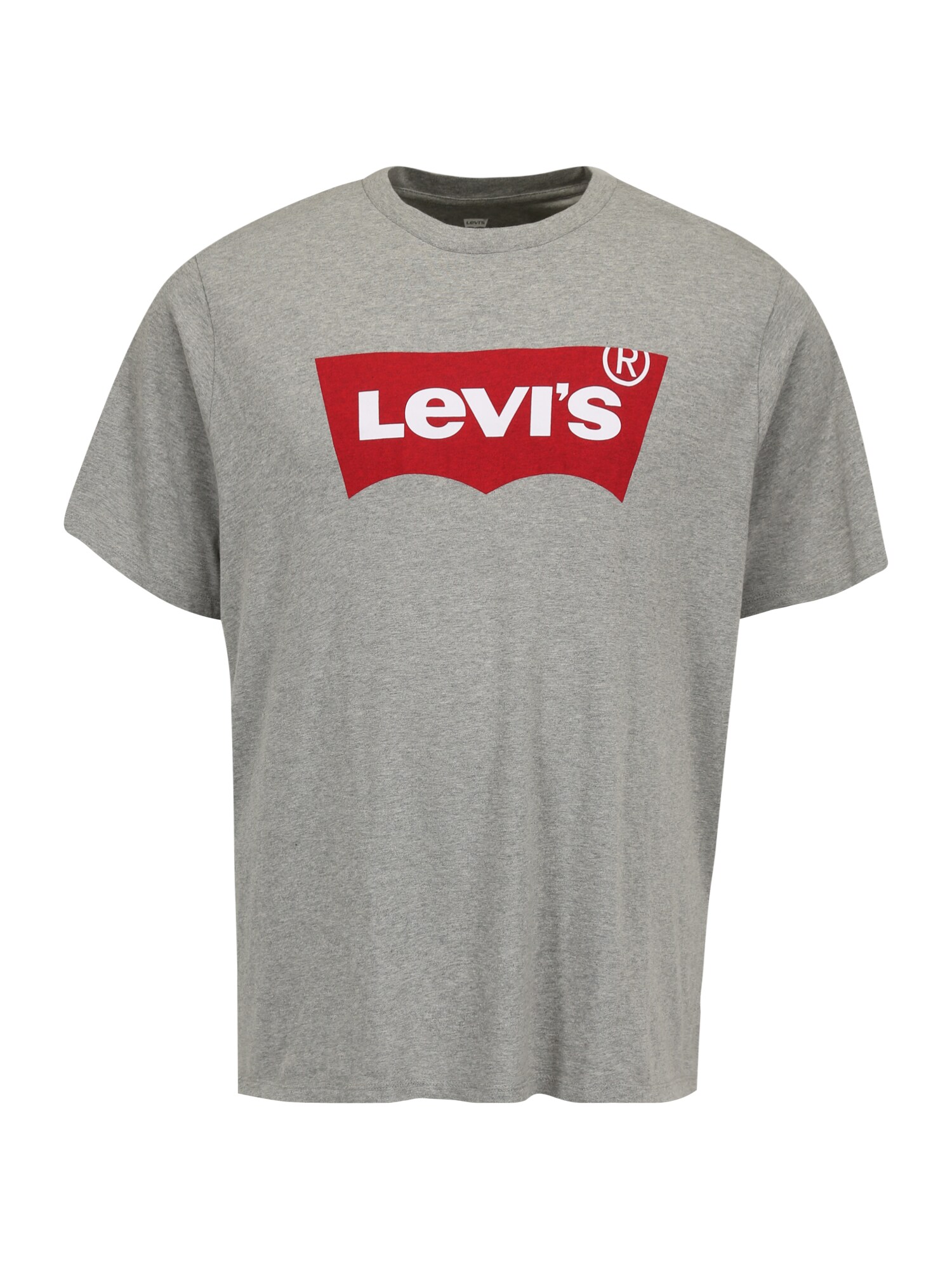 Levi's® Big & Tall Marškinėliai margai pilka / balta / raudona