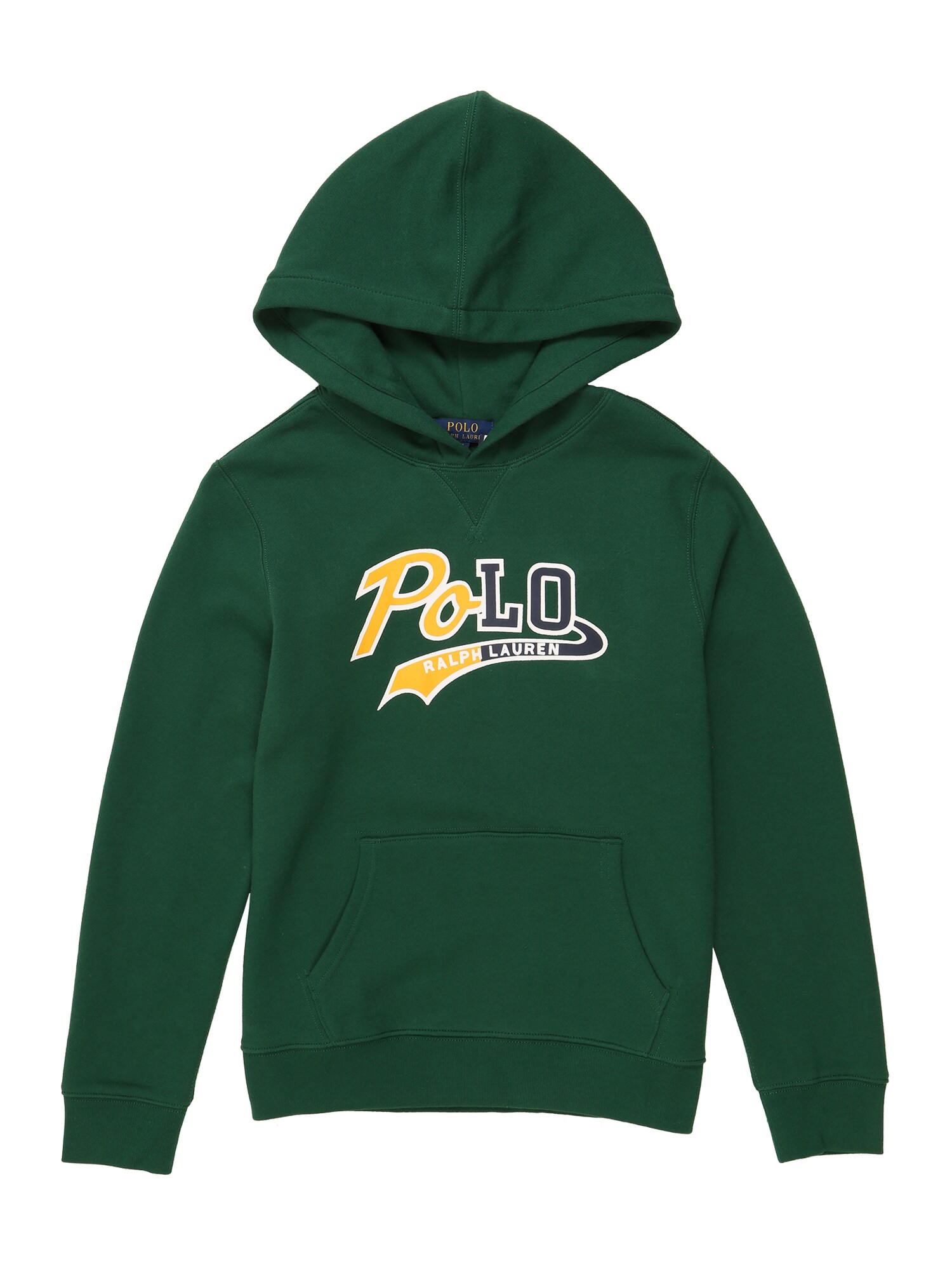 POLO RALPH LAUREN Megztinis be užsegimo  tamsiai žalia / mišrios spalvos