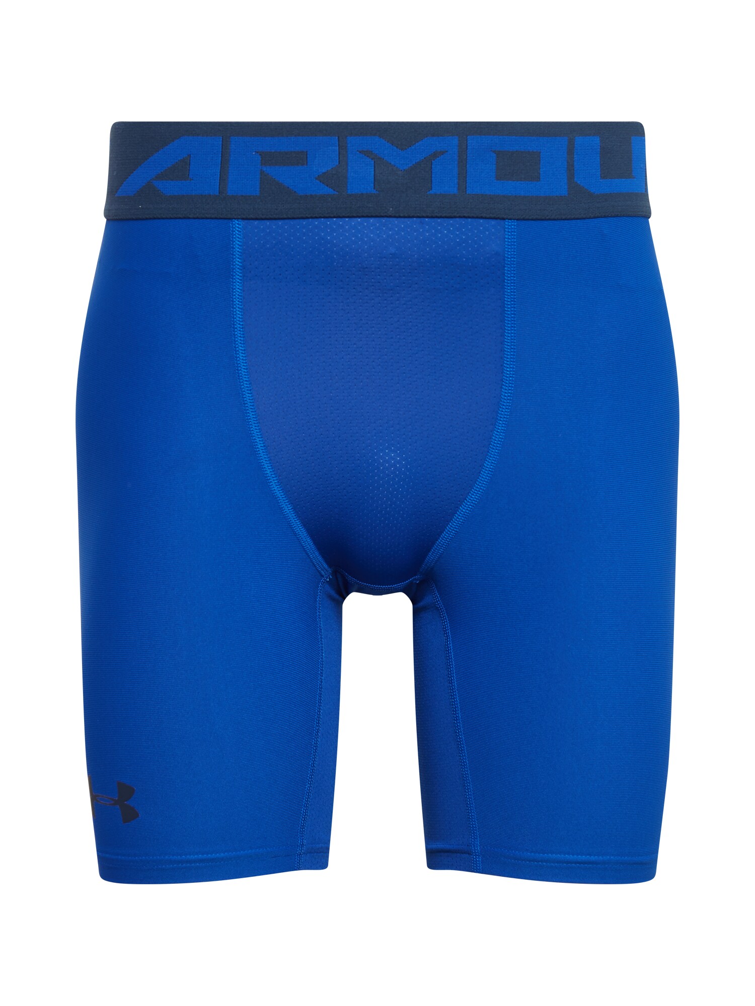 UNDER ARMOUR Sportinės kelnės  mėlyna / tamsiai mėlyna